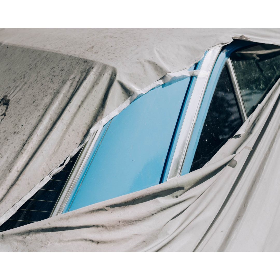 The Boss, Istanbul, 2016