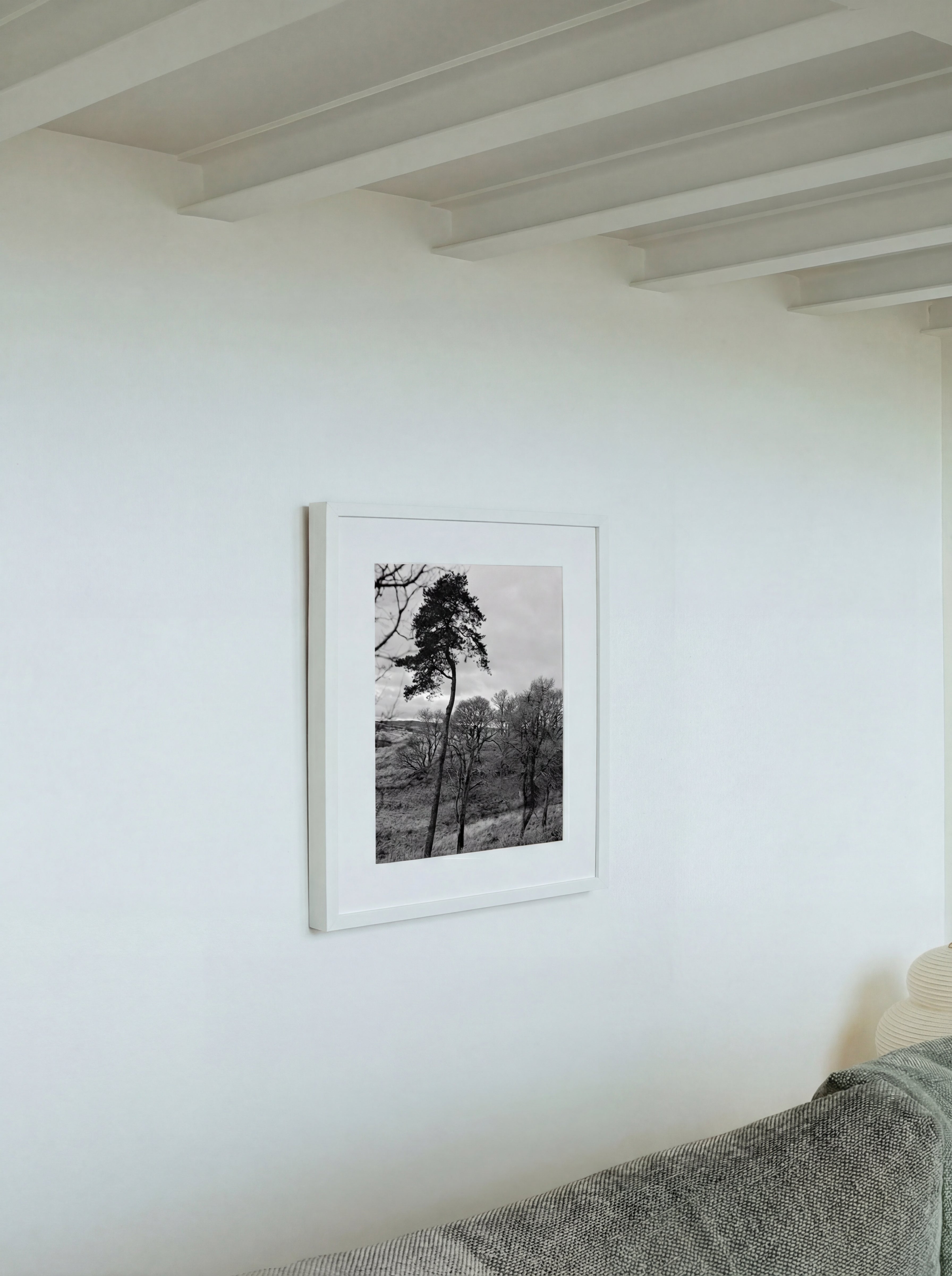 North Mood, Écosse, 2019