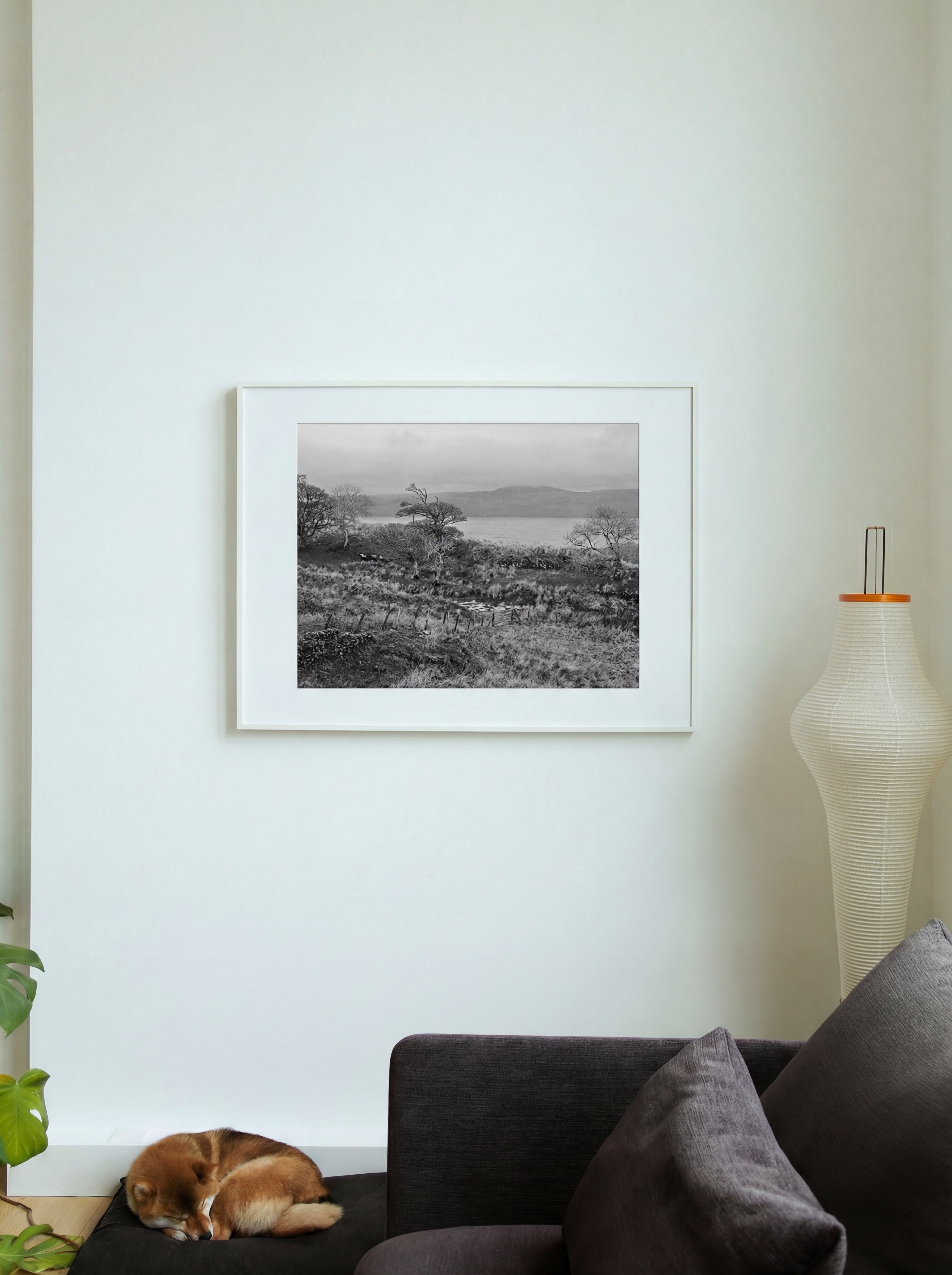 The Quiet Things That Stay With Me, Écosse, 2019