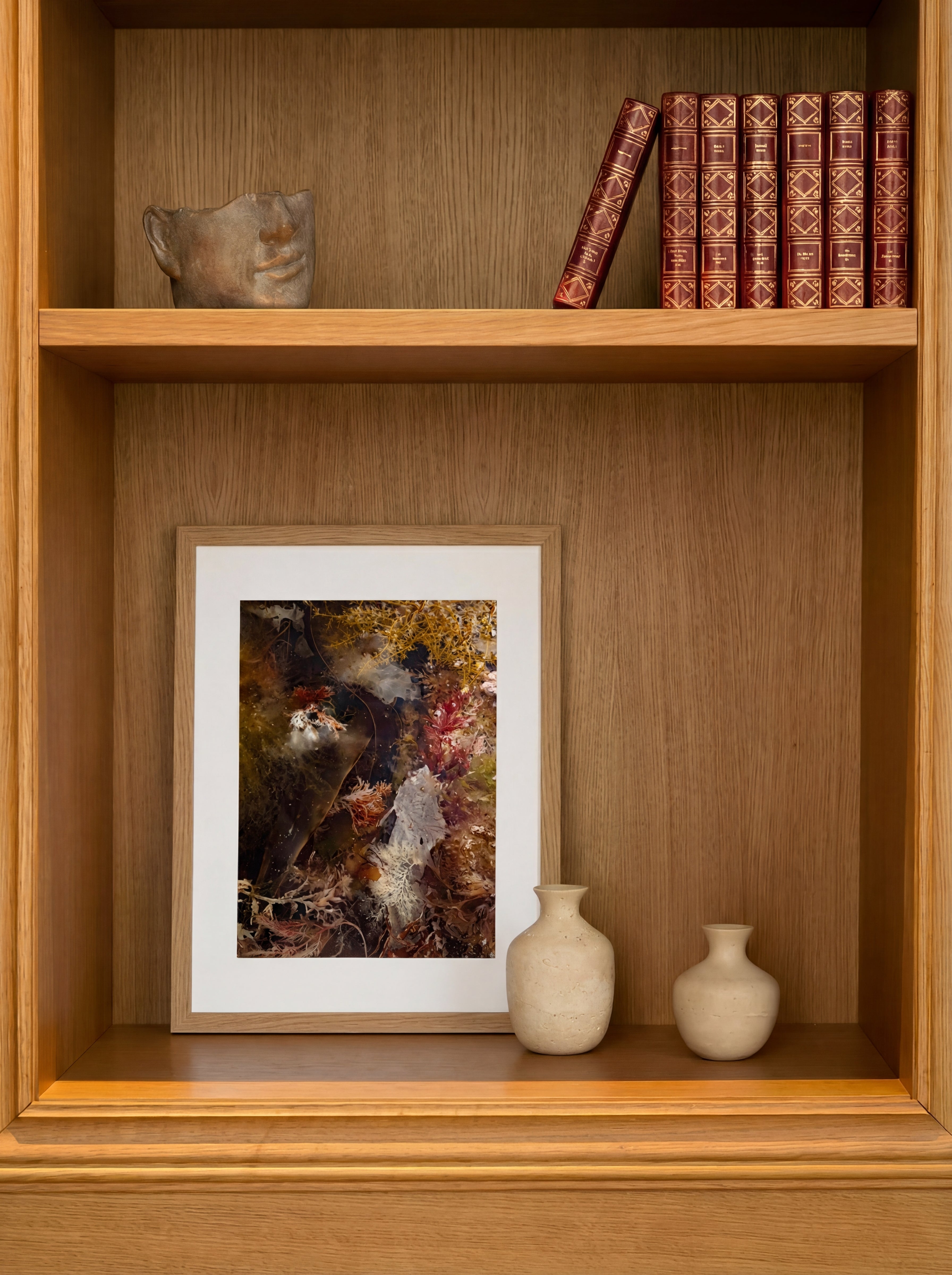 Composition d'algues N°1, Îles Chausey, 2024