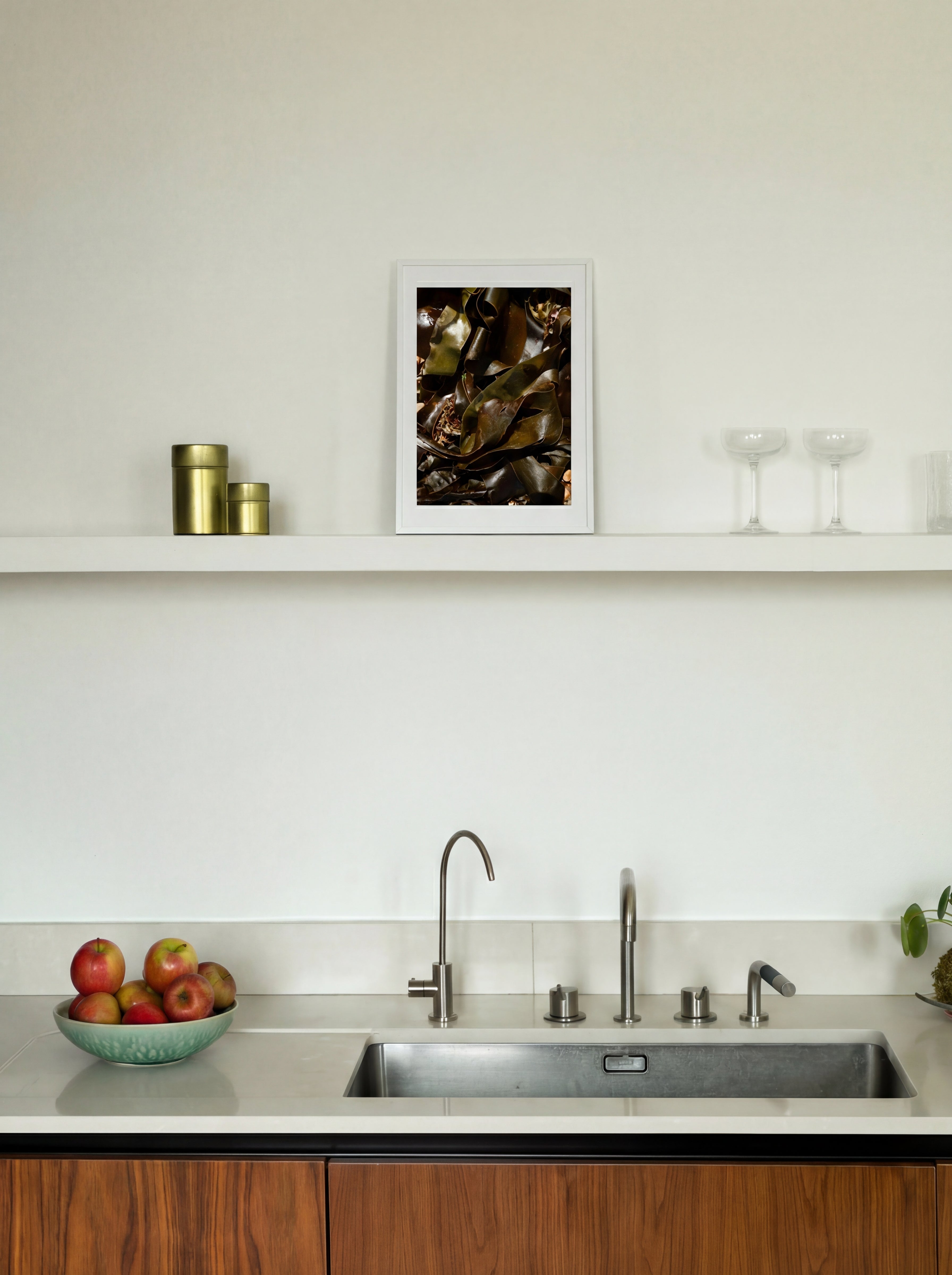 Cuir végétal, Îles Chausey, 2024