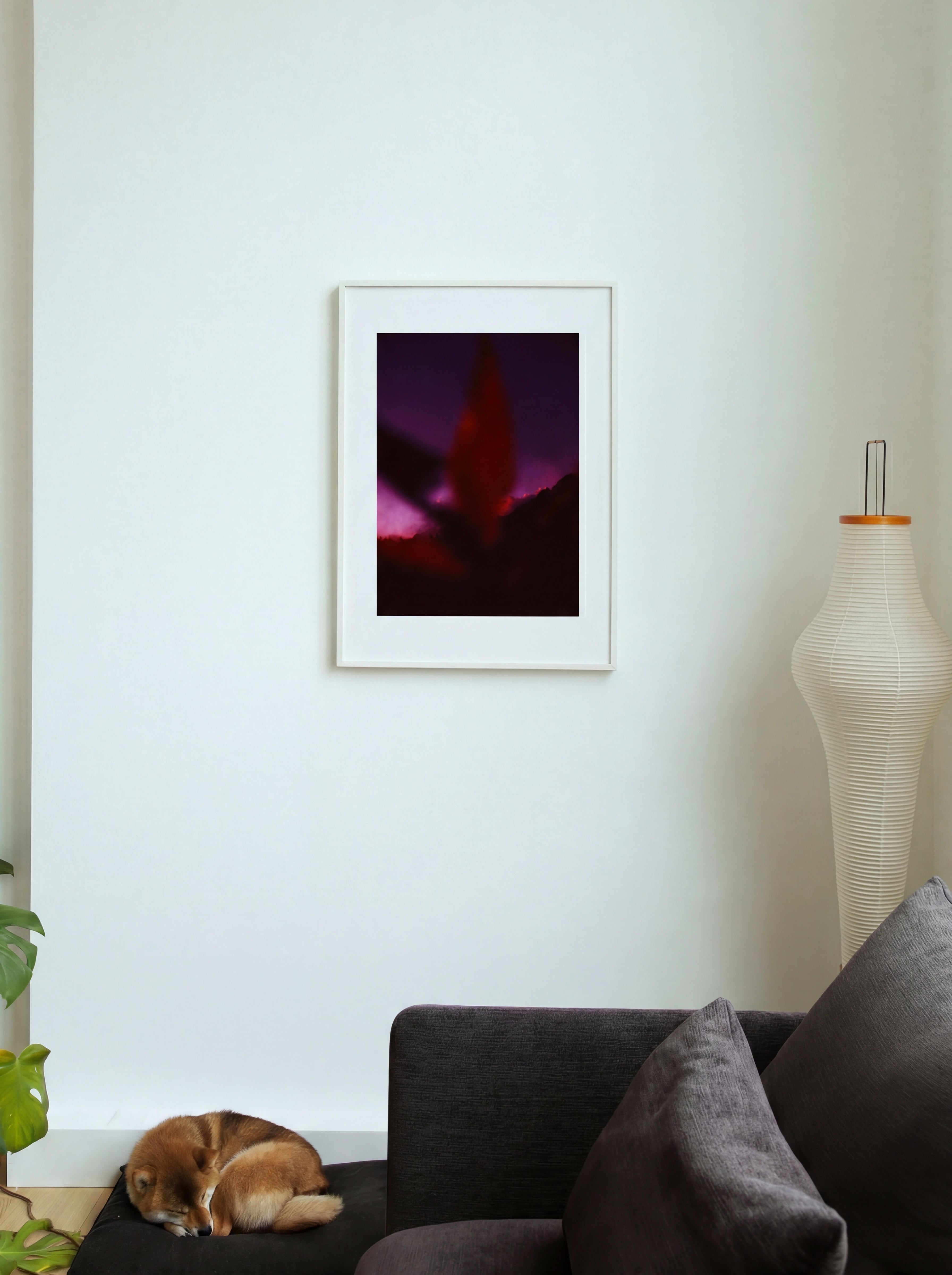 Caresse, Reunion Island, 2023