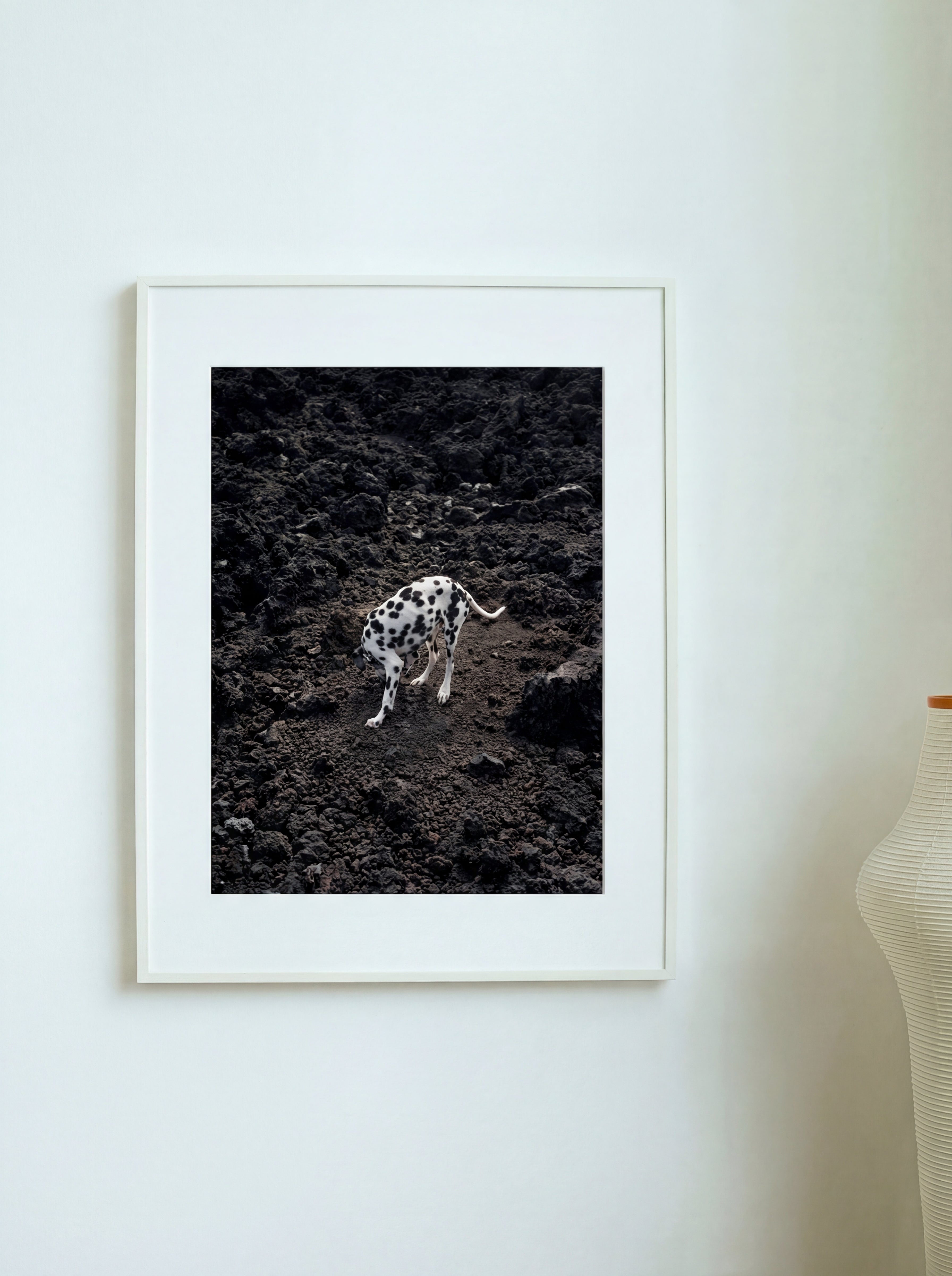 Dalmatien, La Isla Bonita, Canaries, 2022