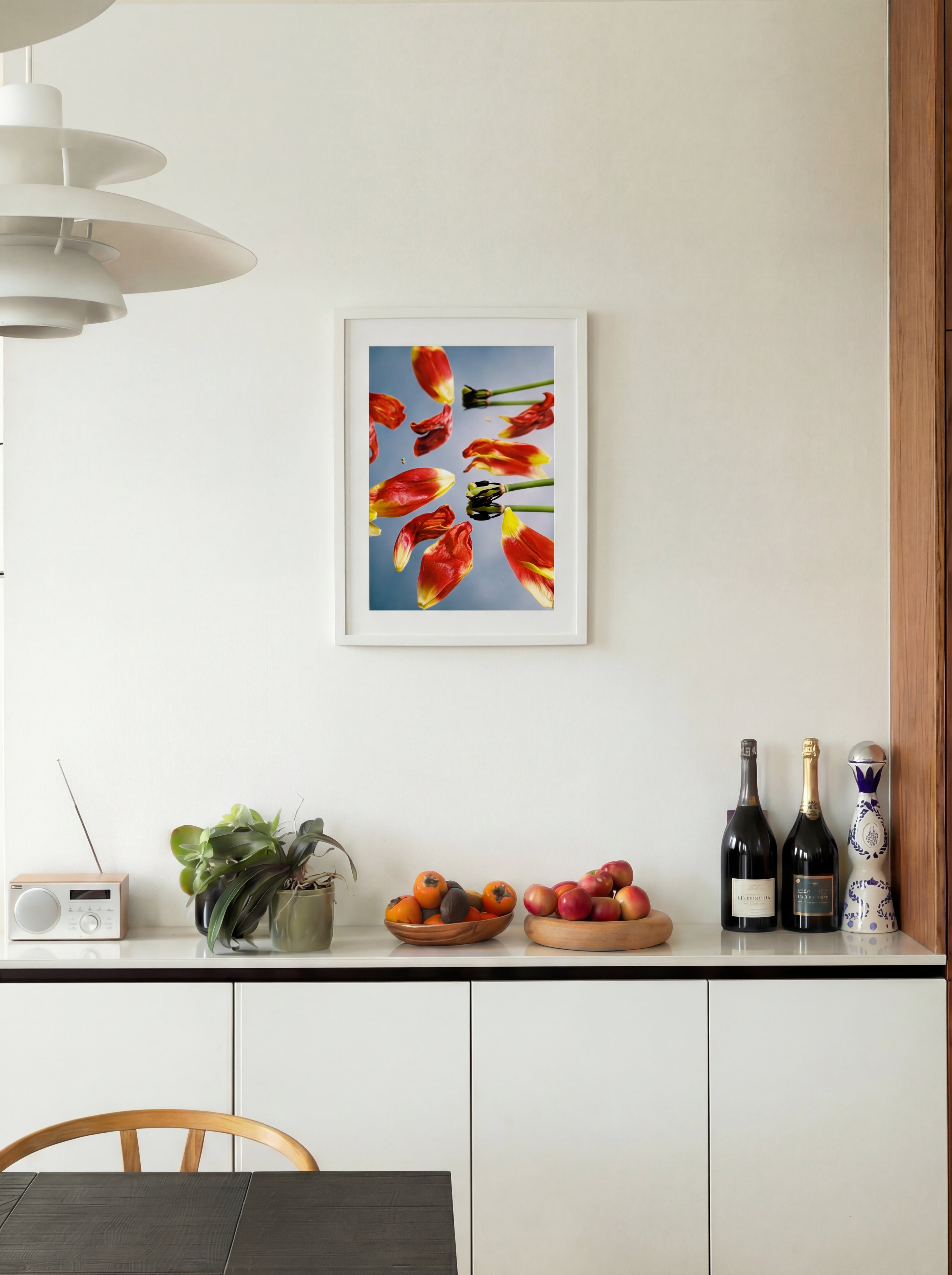 Tulipes, Normandie, France, 2024