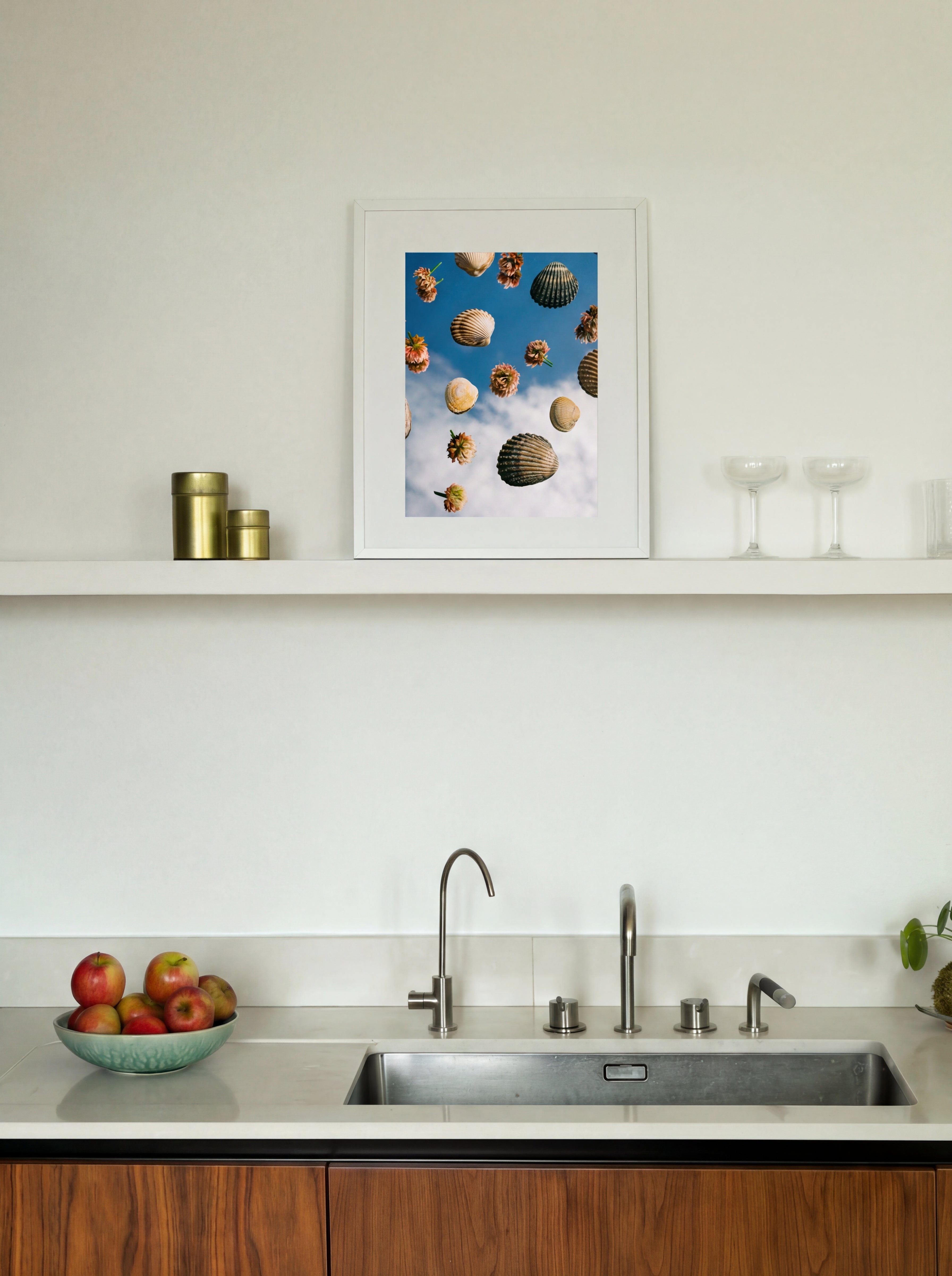 Coquillages, Normandie, France, 2024