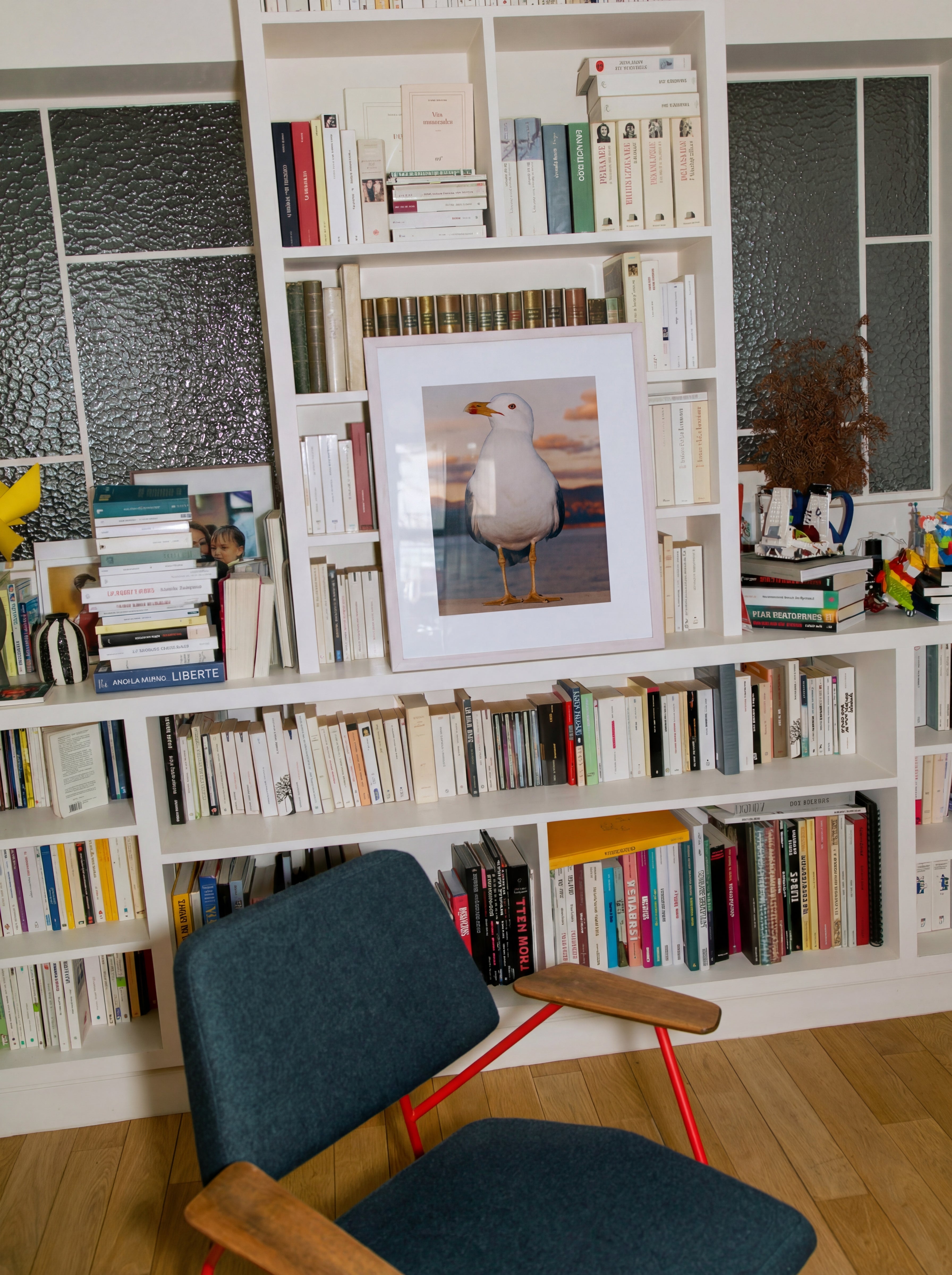 Seagull, Italie, 2023