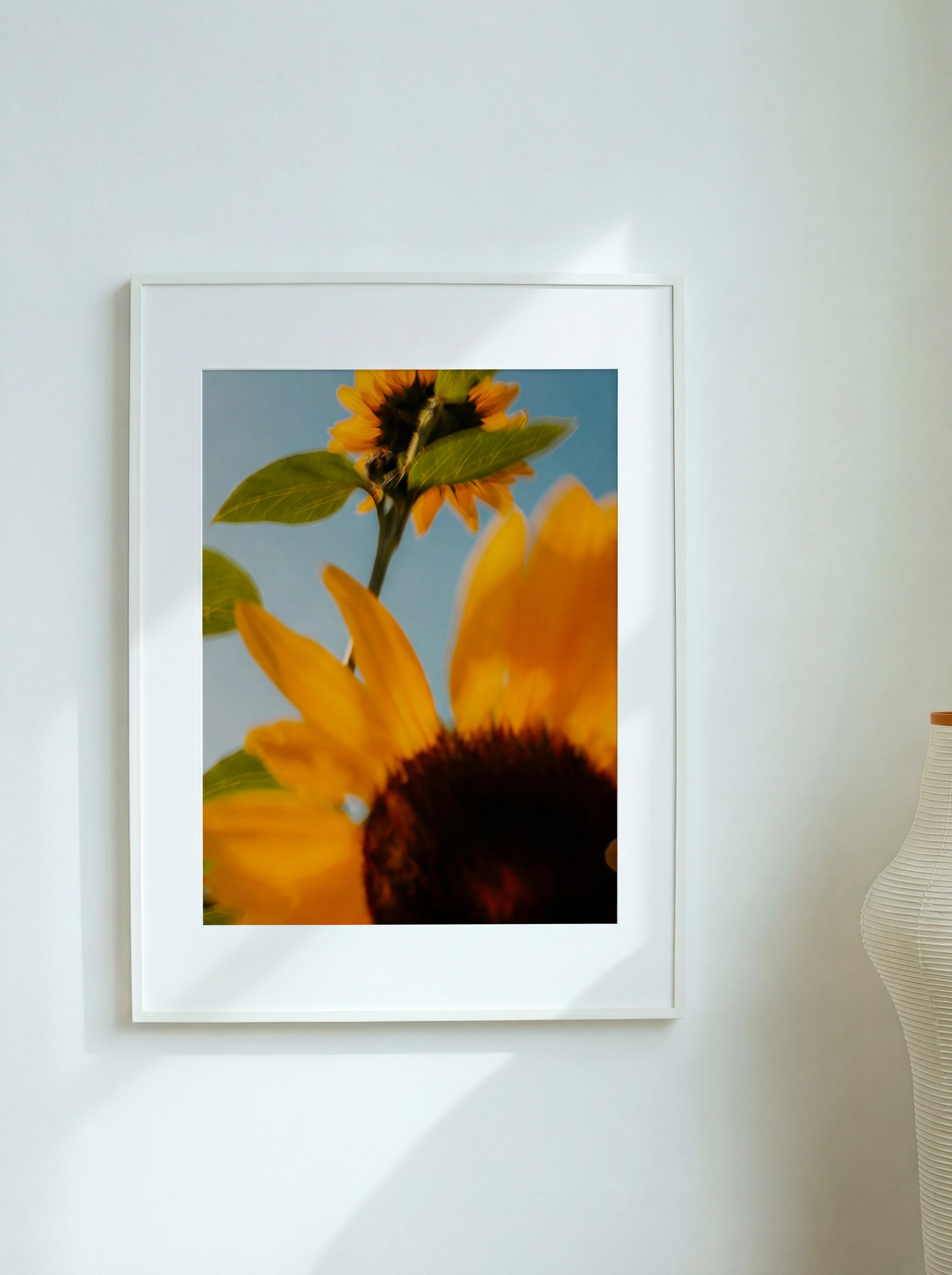 Flower IV, Allemagne, 2021