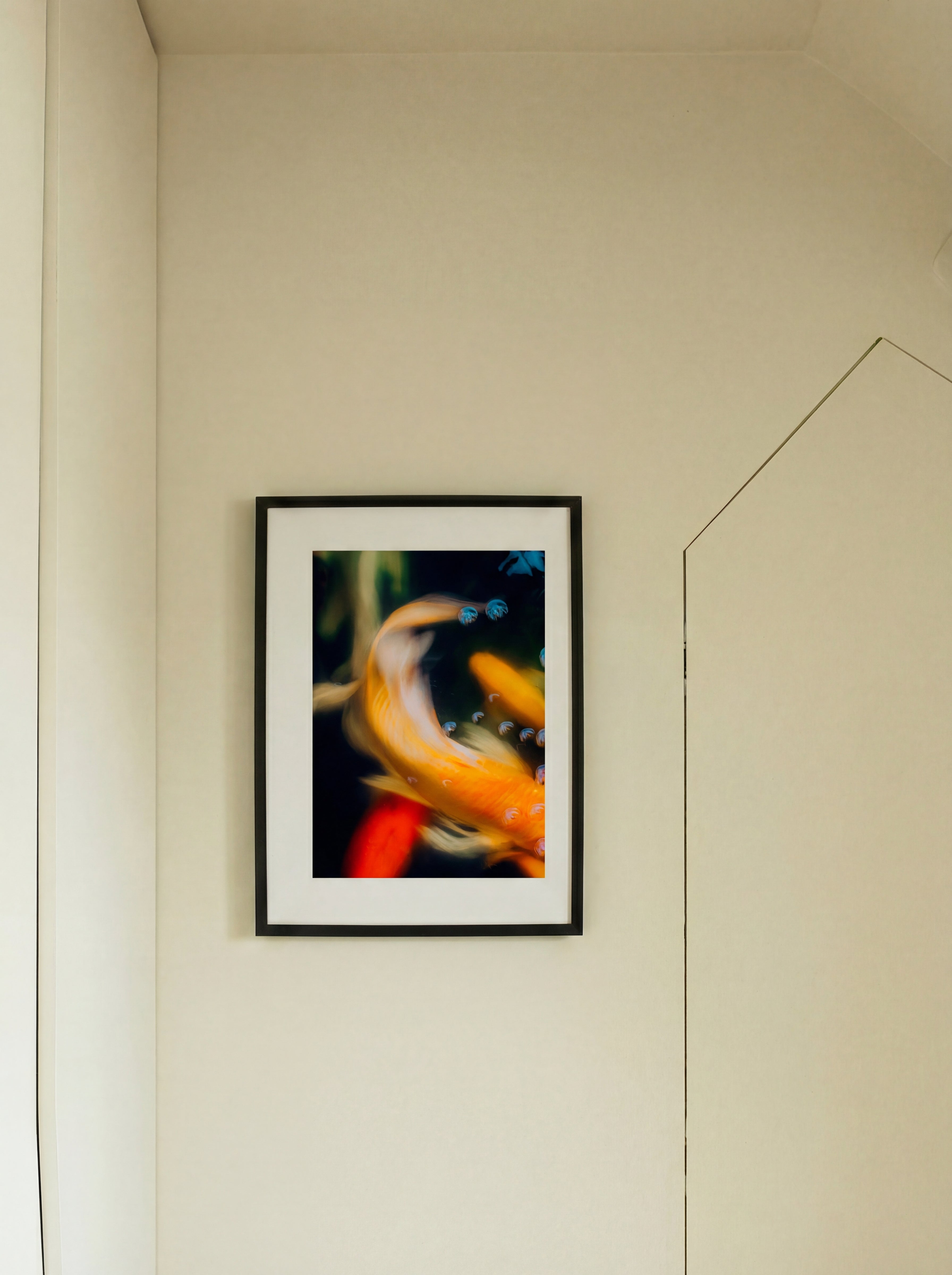 Fish, Thaïlande, 2020