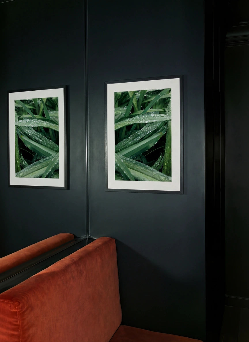 Garden, Italie, 2019