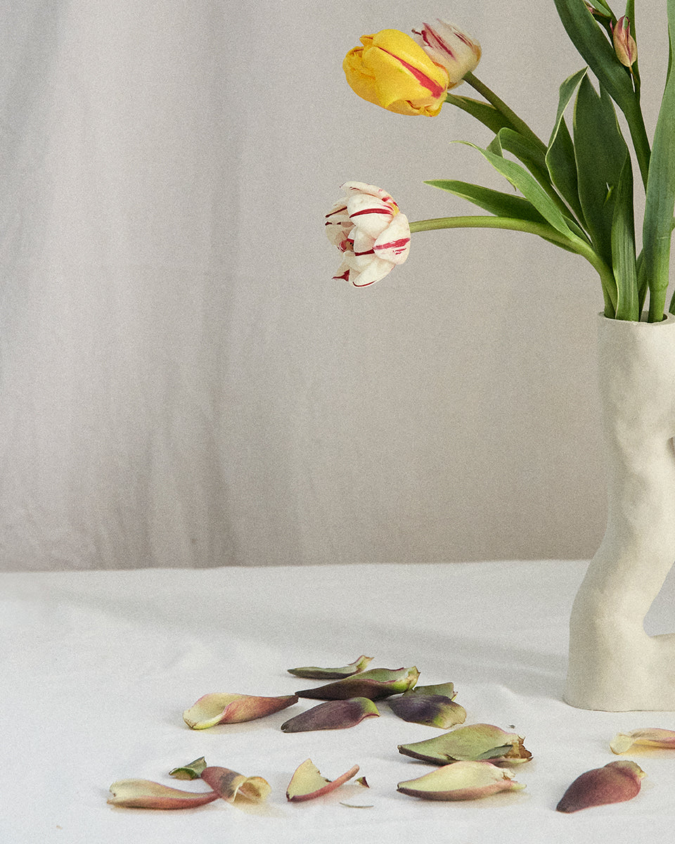 Artichaut et tulipes, Paris, 2020