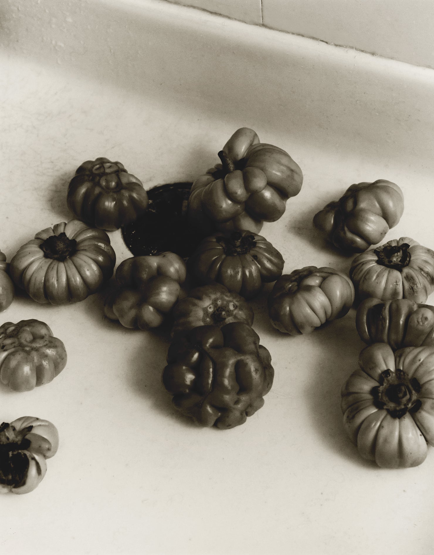 Sans titre 2, Bourgogne, 2024