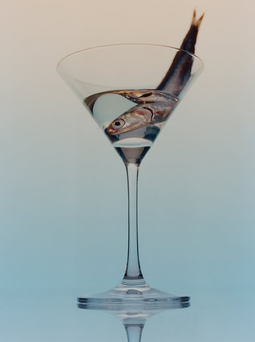 Anchois 2, Paris, 2024