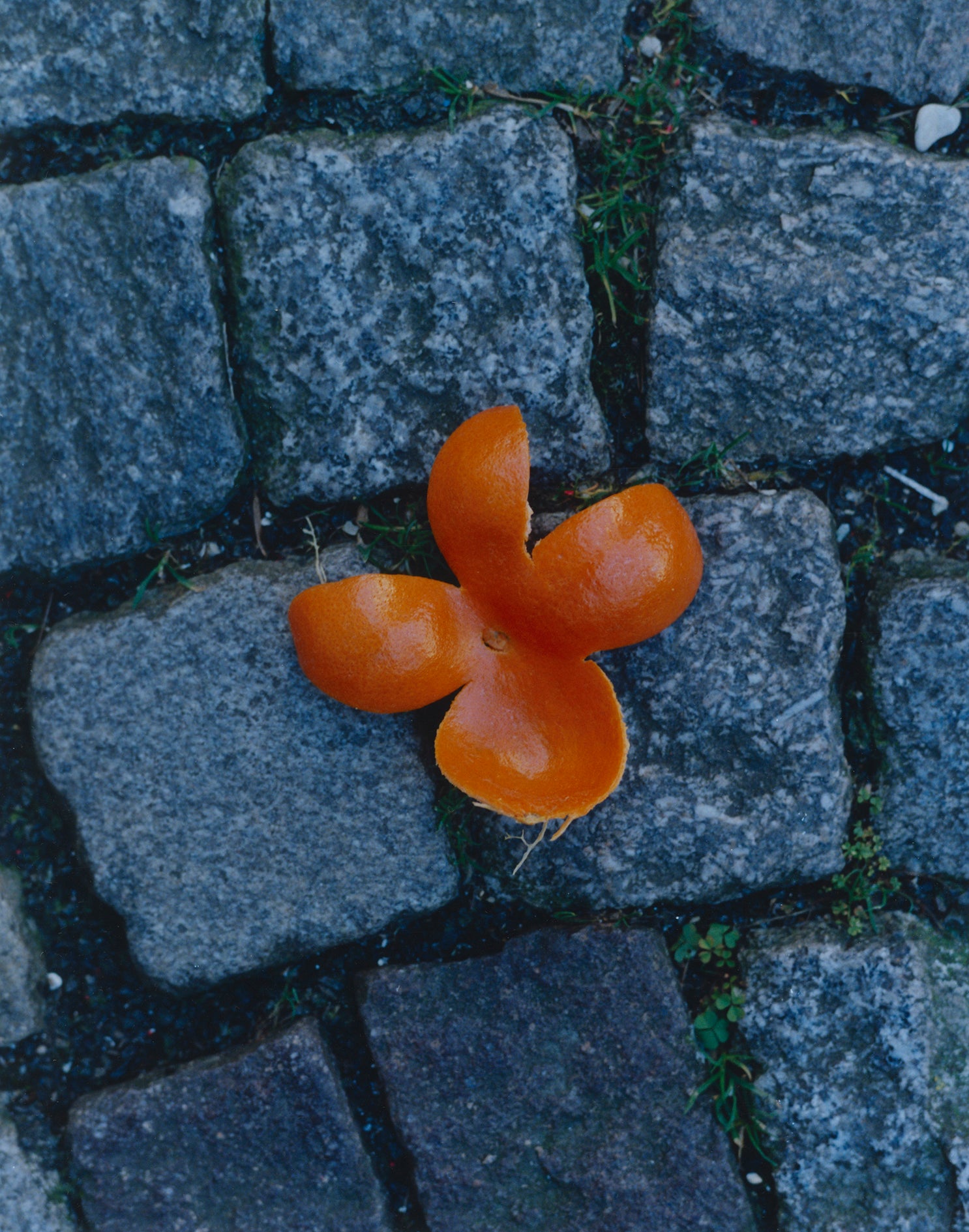 Clémentine, Paris, 2025