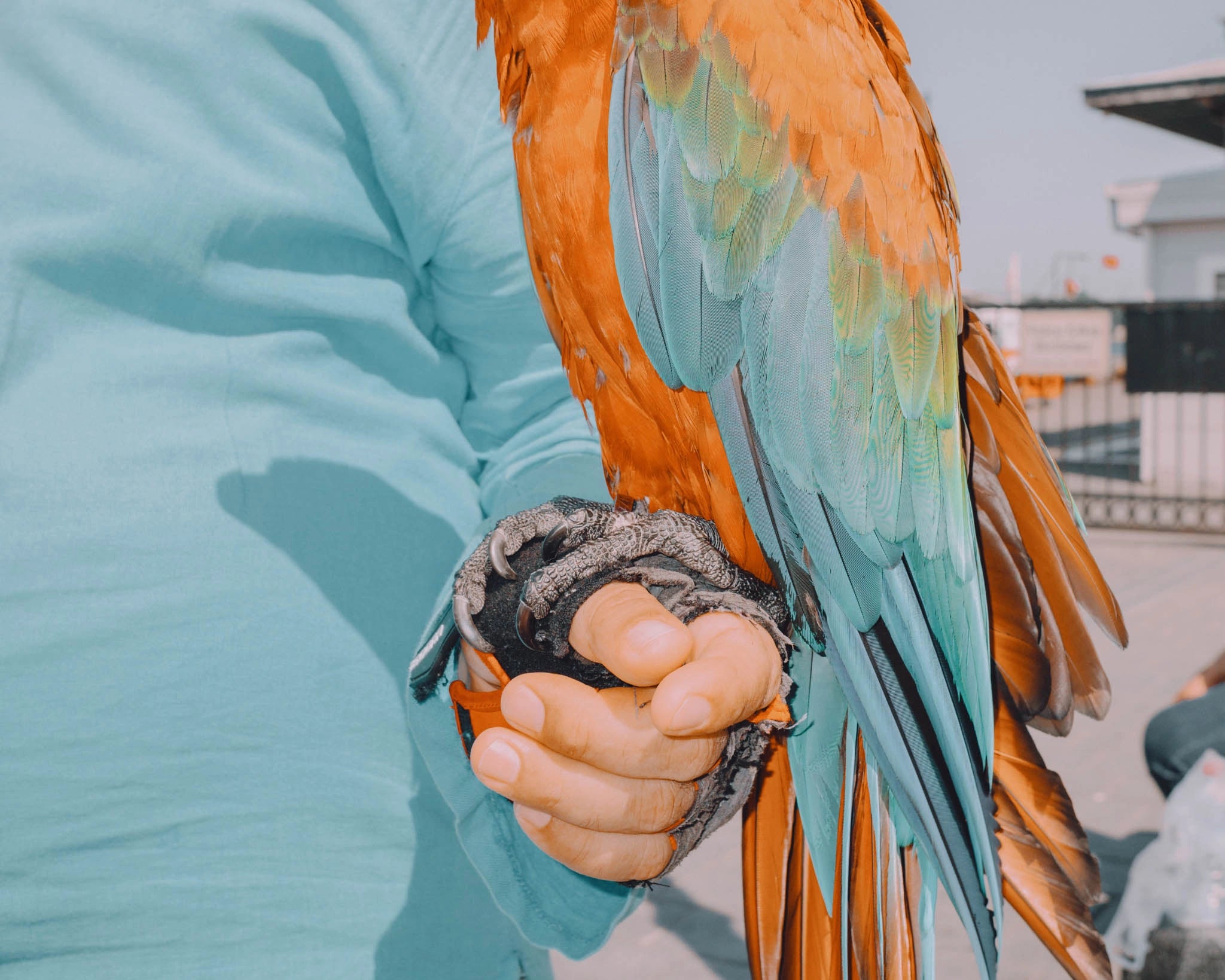 Hold My Hand, Istanbul, 2021