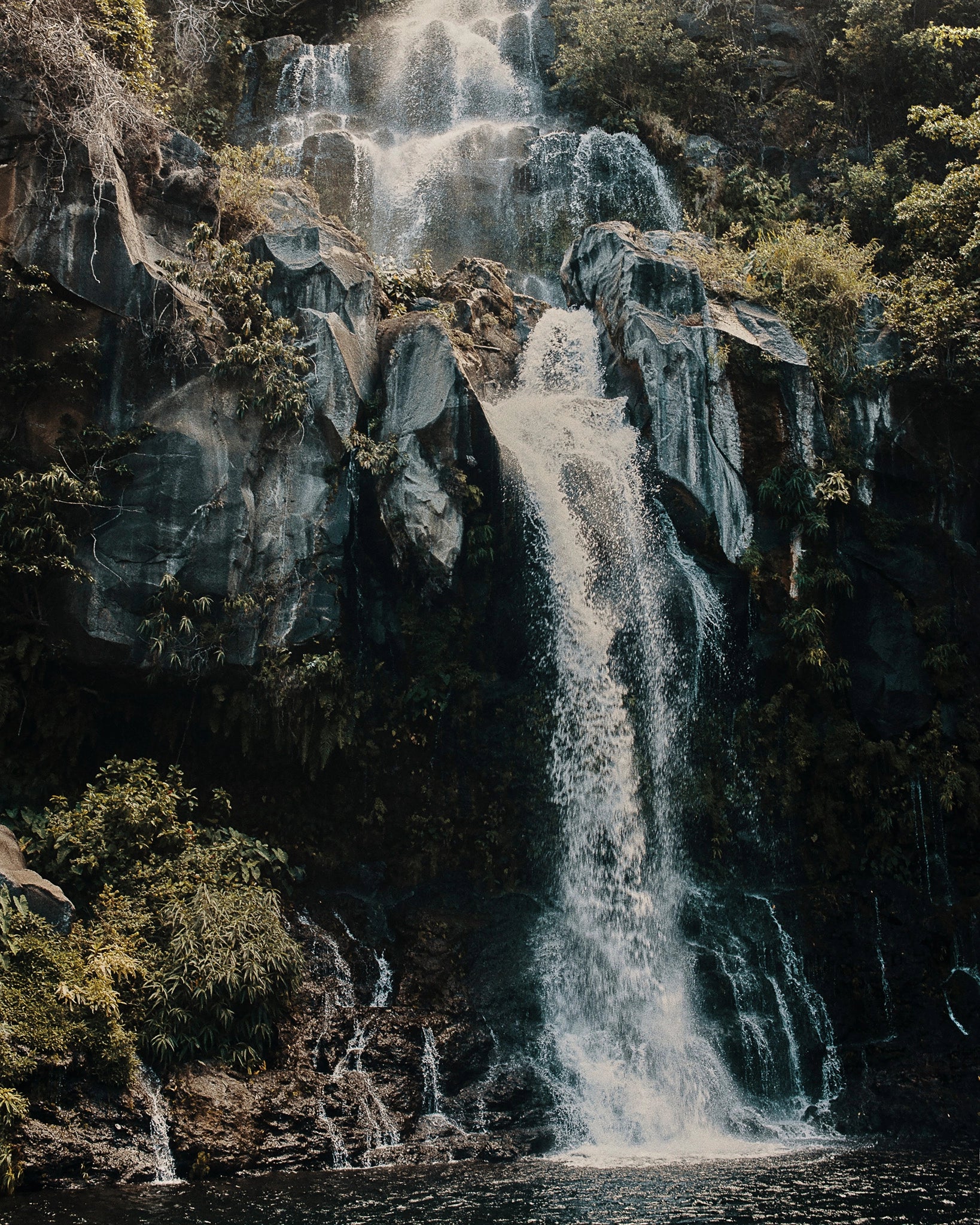 The bride's veil, Reunion Island, 2020 