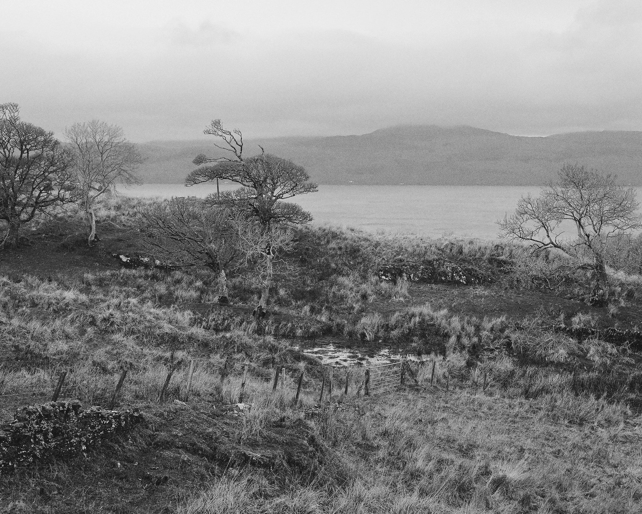 The Quiet Things That Stay With Me, Écosse, 2019