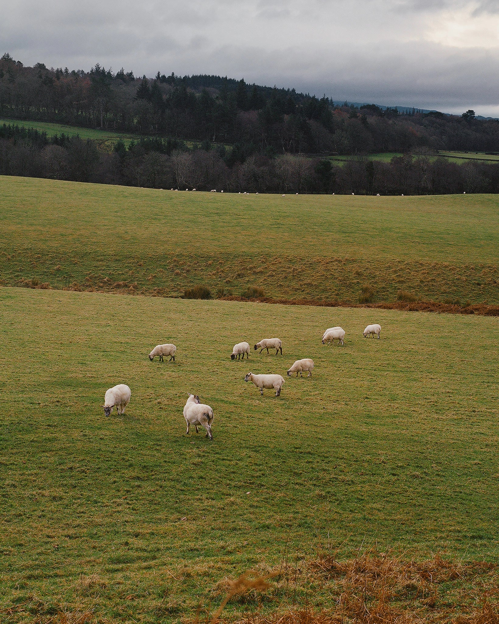 The Quiet Things That Stay With Me, II, Écosse, 2019