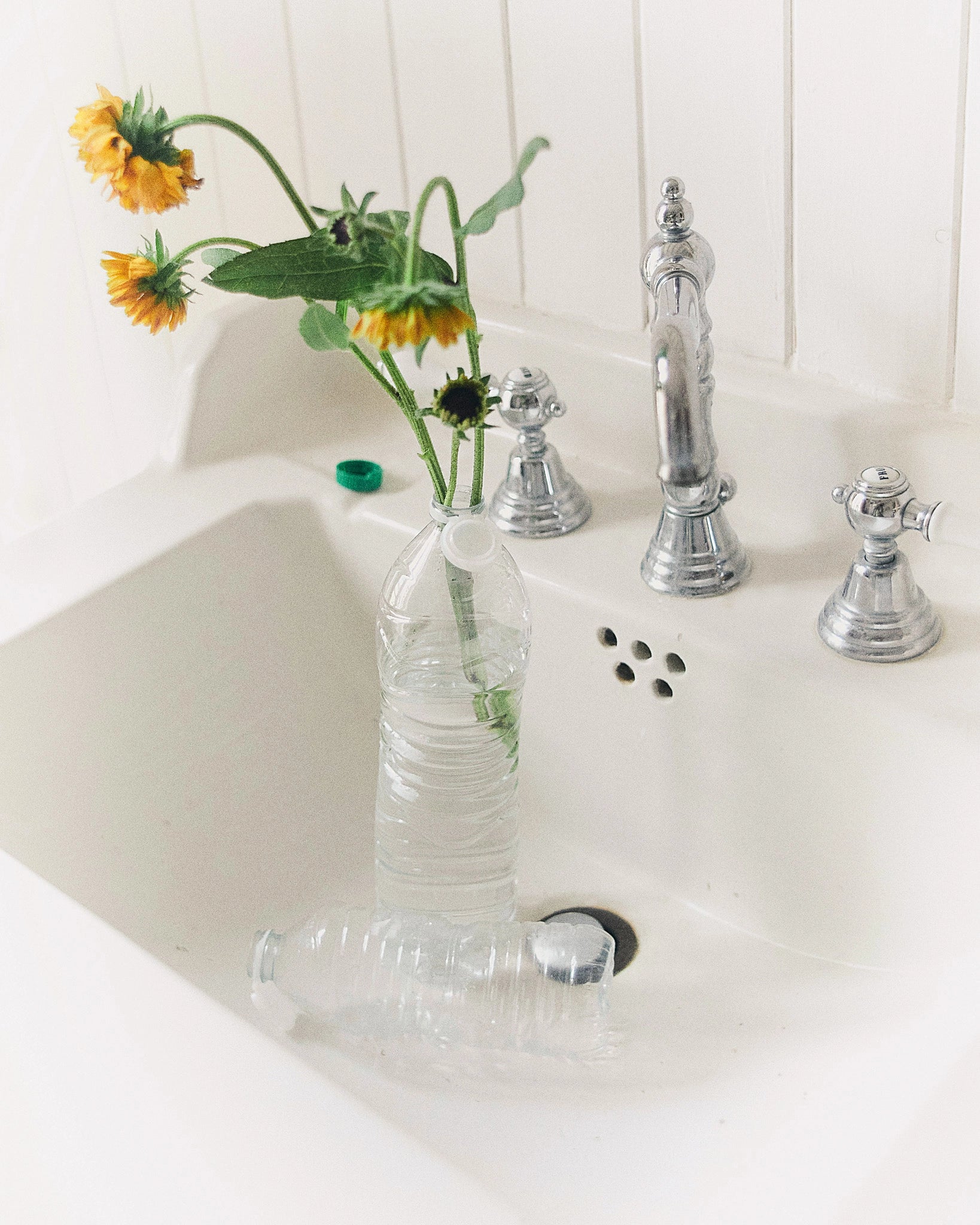 Thirsty, Paris, 2025