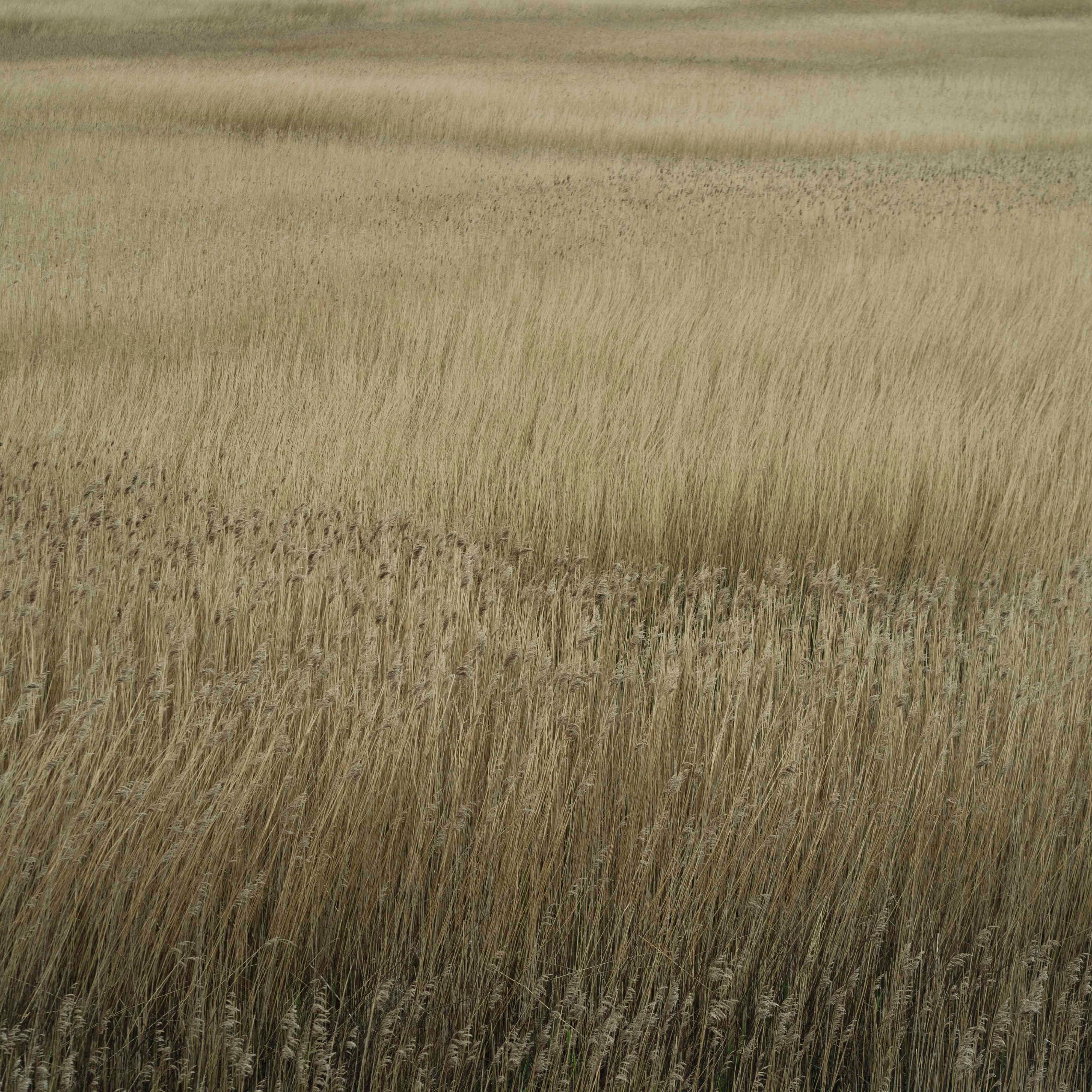 Infiniment Beige, Le Havre, 2024