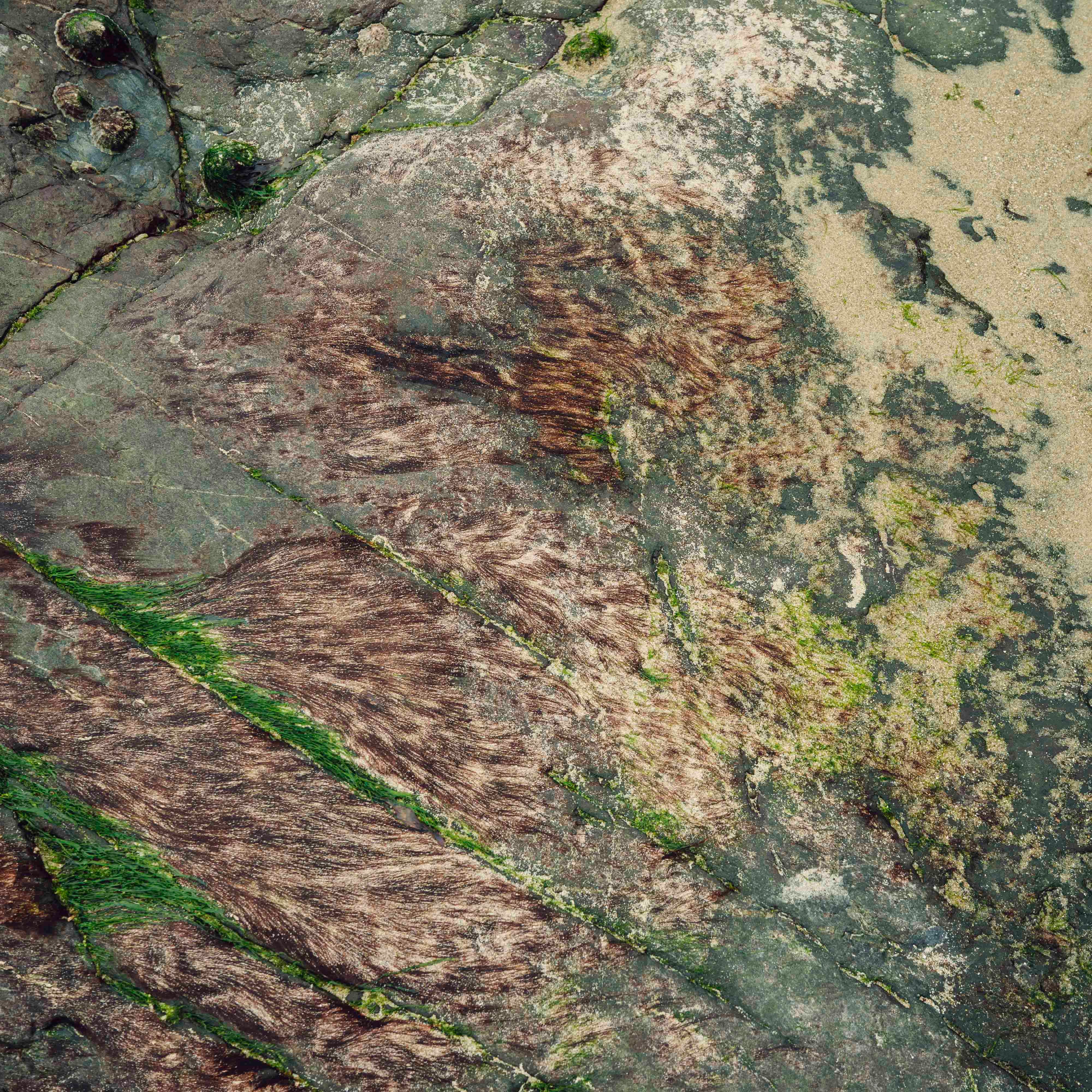Quand l'eau se retire, Normandie, 2024