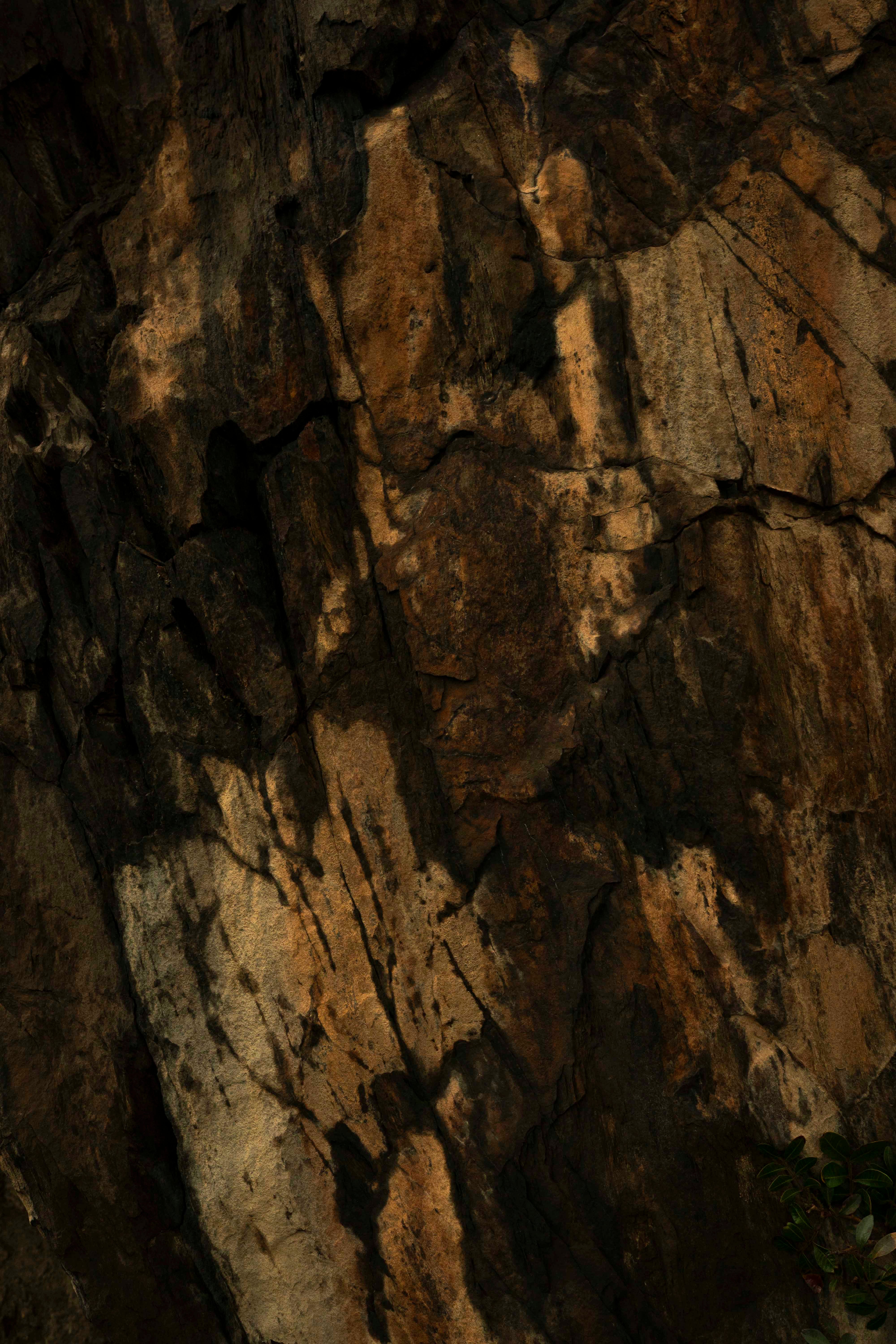 Quand le temps dessine, Cadaquès, 2025