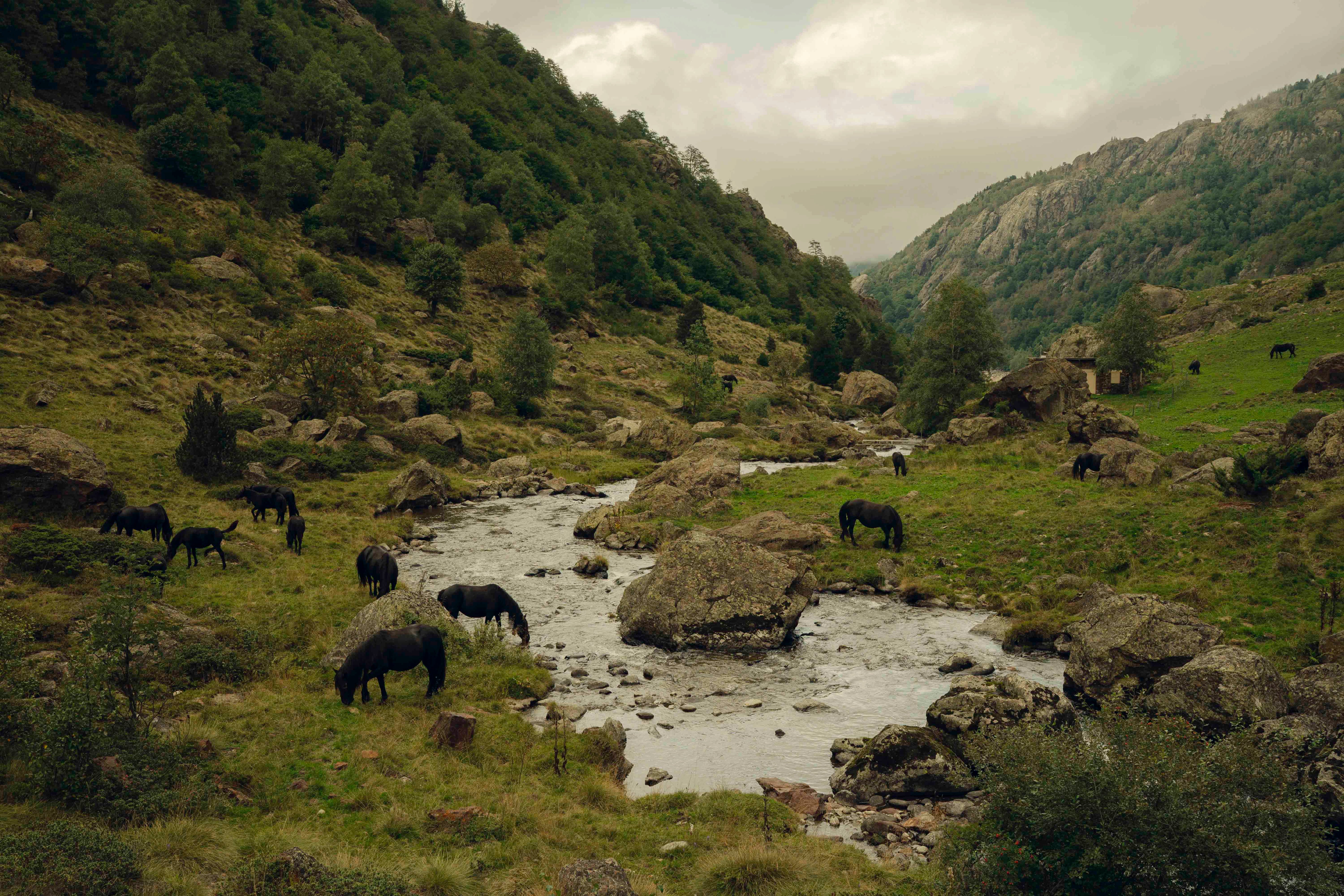 Les Mérens, Pyrénées, 2025