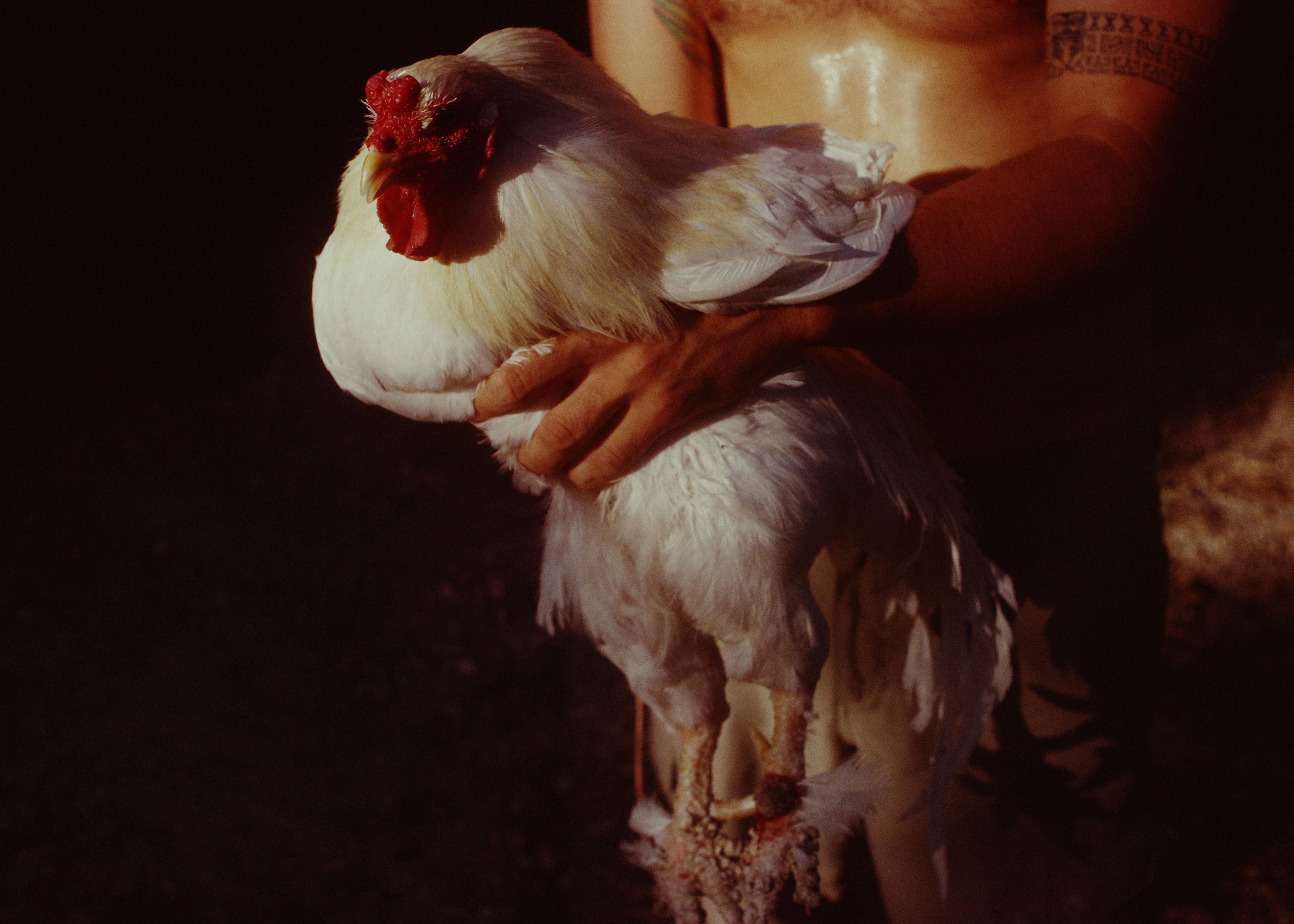 Chaleur sourde, Majorque, 2022