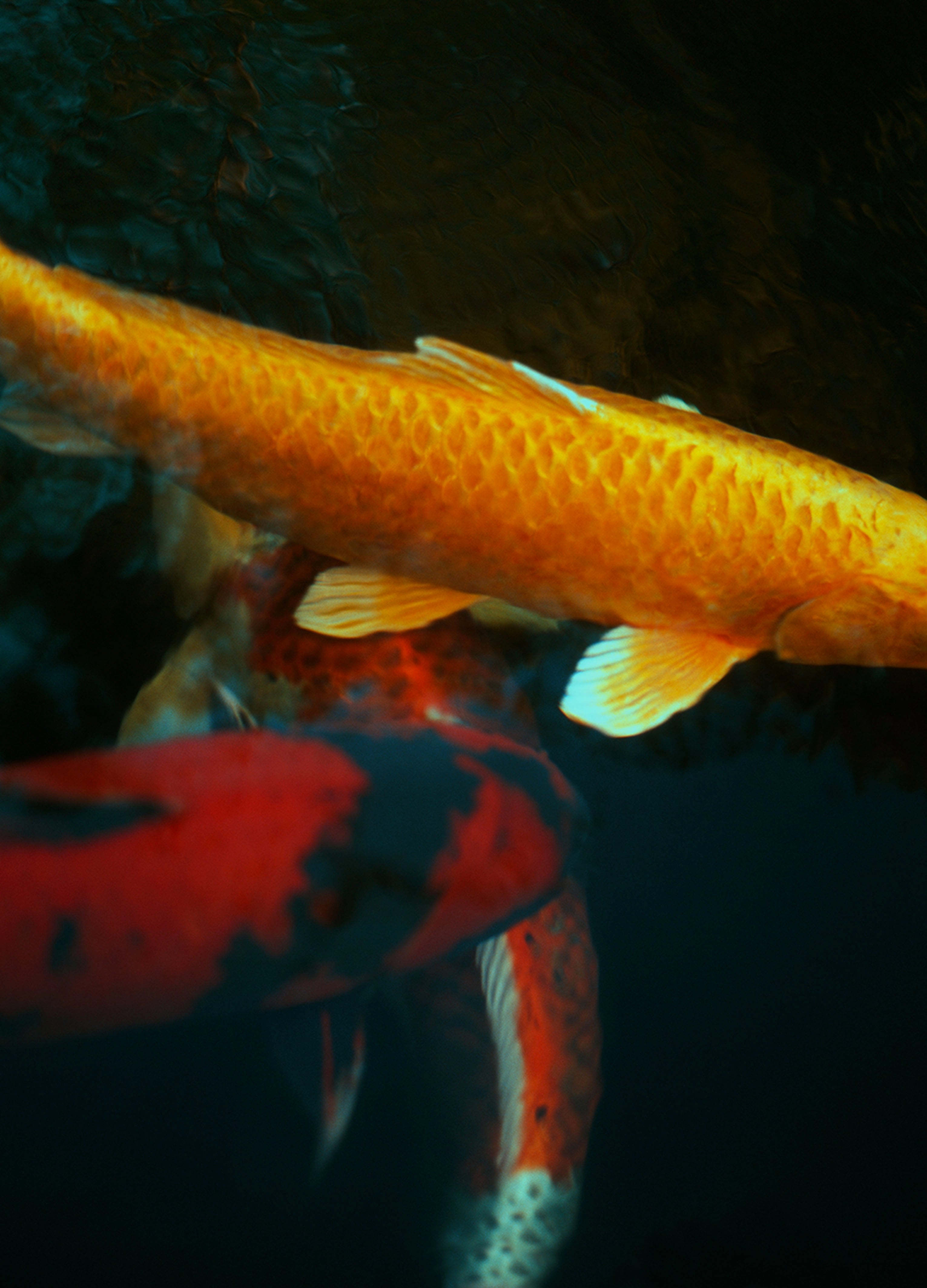 The Silent Ones, Drôme, 2023