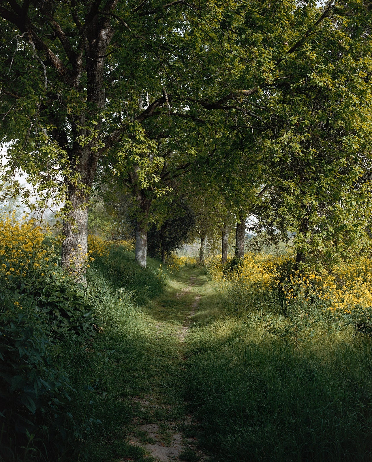 Montemarciano, Italie, 2024