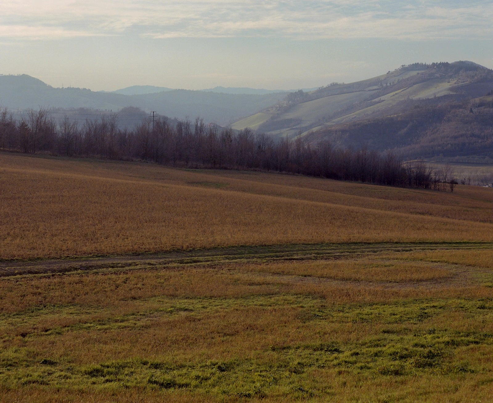 Sabbiuno, Italie, 2017