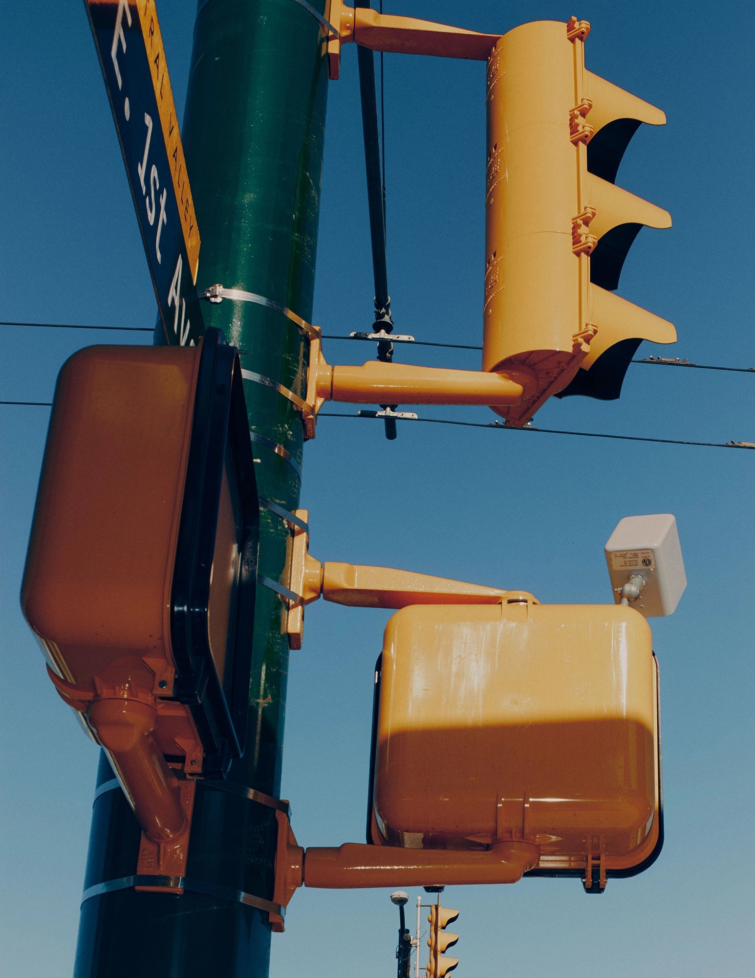 Traffic Light, Canada, 2016