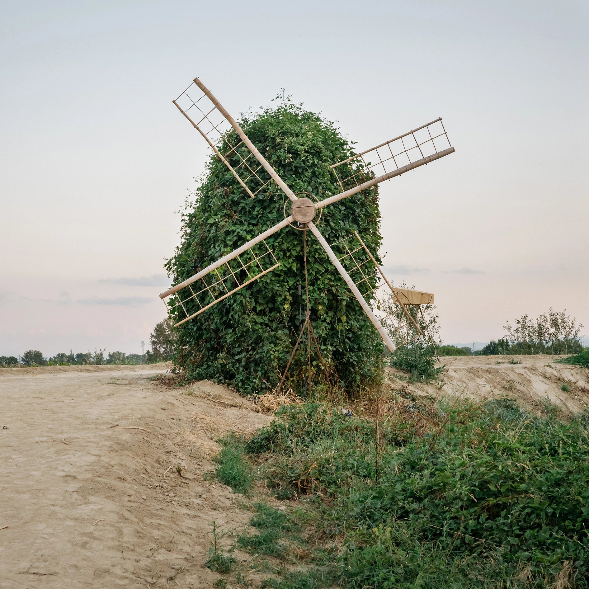 Sans titre, Cotignola, 2025