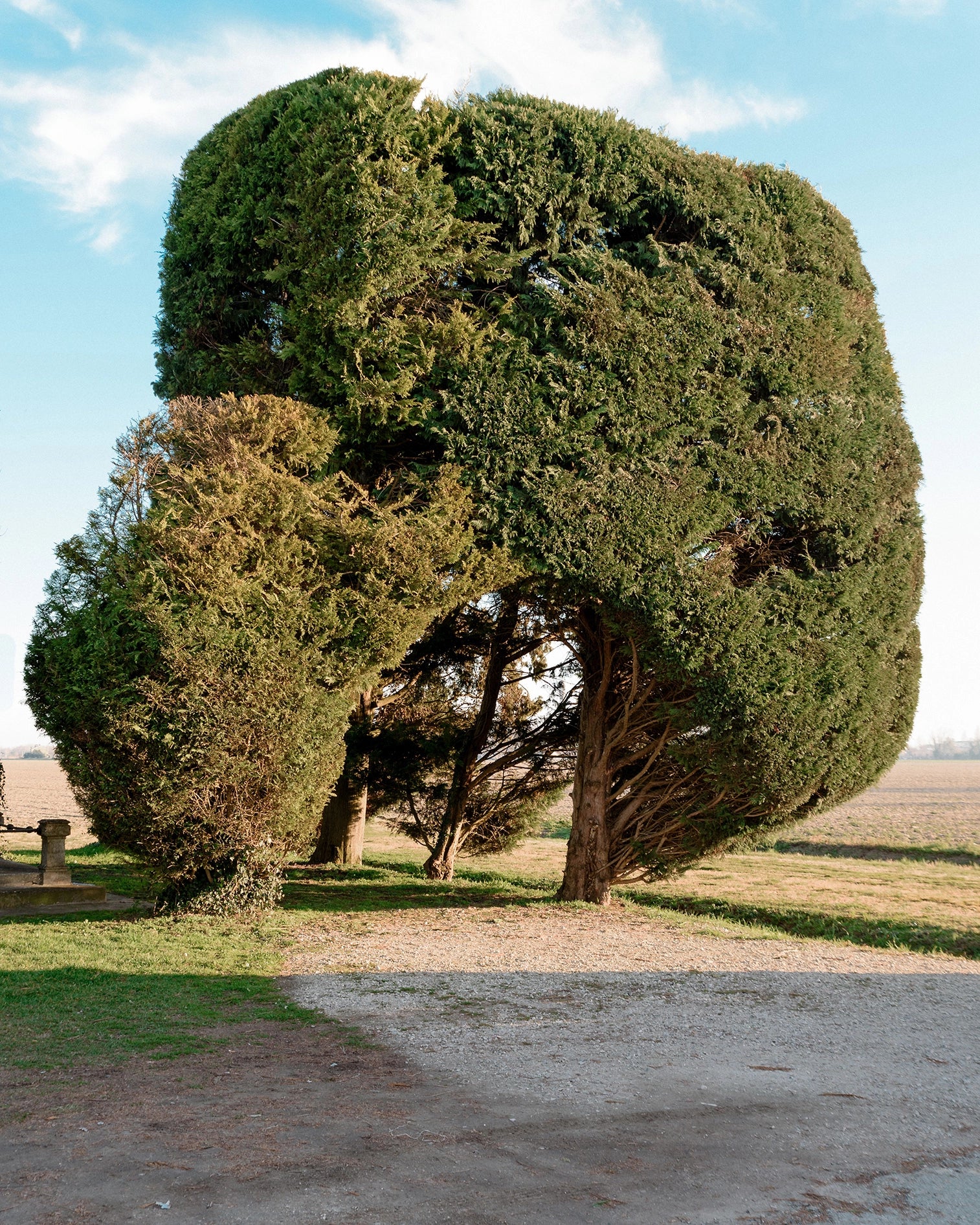 Ai compagni caduti in guerra, Mezzano, 2020