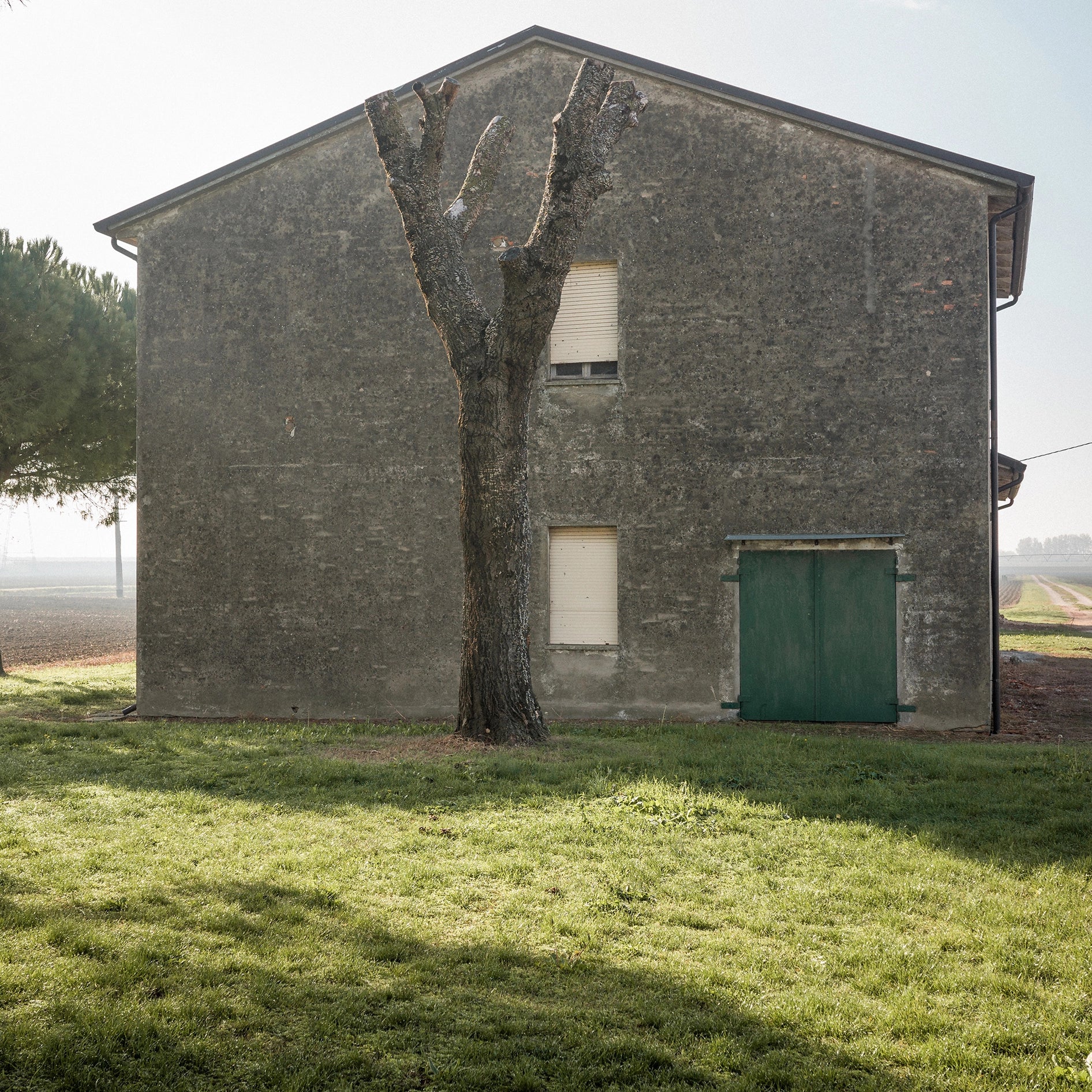 Sans titre, Anita, Ferrara, 2025