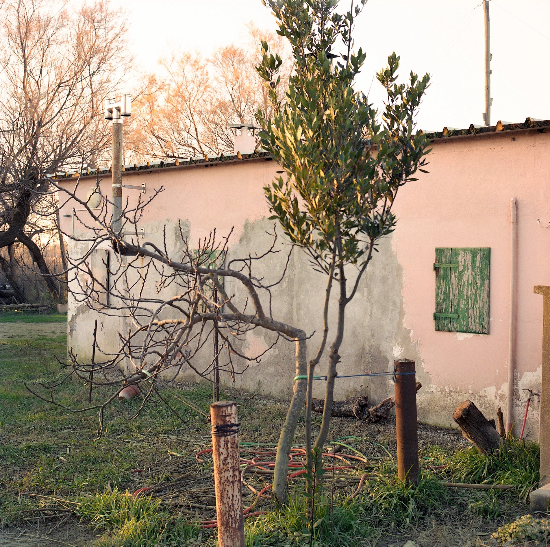 Sans titre, Lido di Dante, 2022