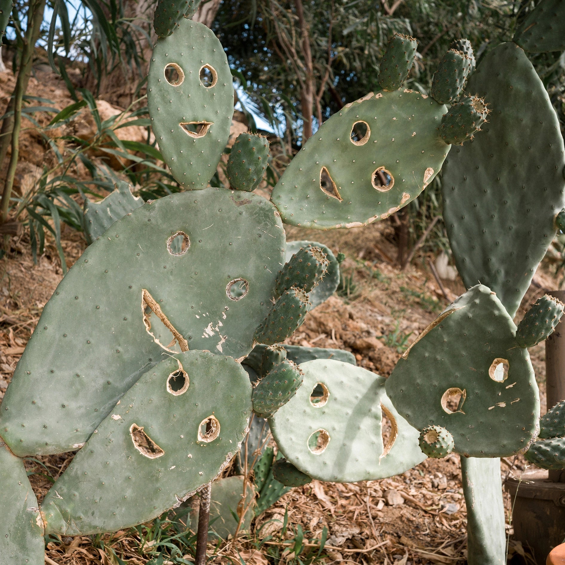 Sans titre 1, Kissamos, 2025