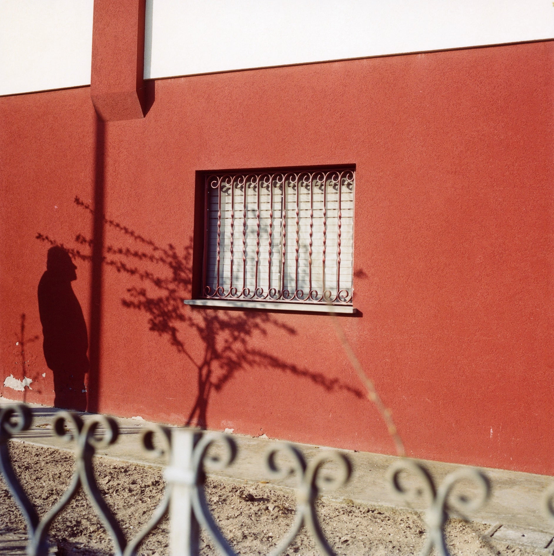 Sans titre, Fosso Ghiaia, 2020