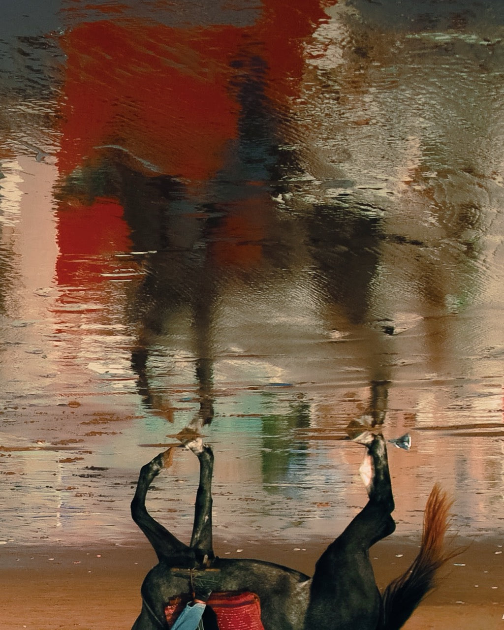 Reflet, Taghazout, Maroc, 2024