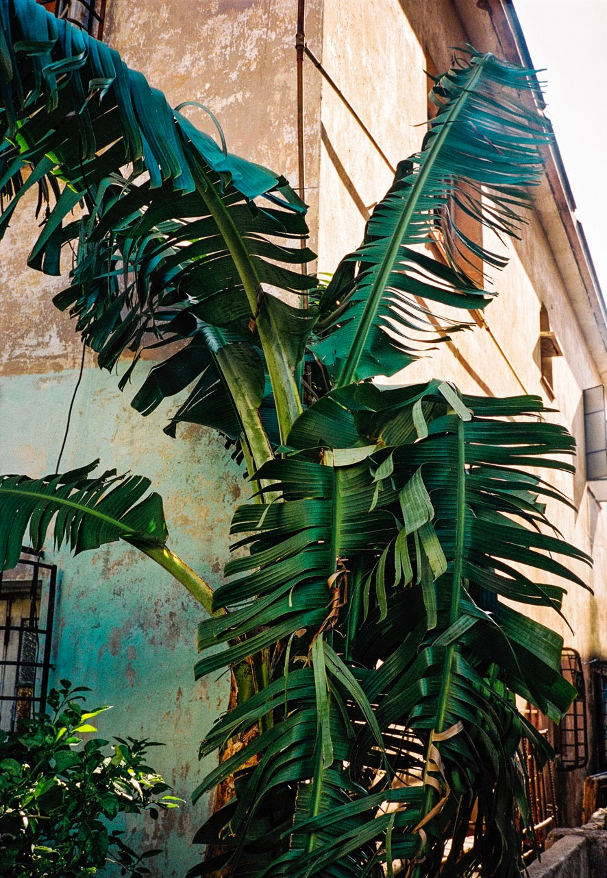 Beloved Street, Cuba, 2019