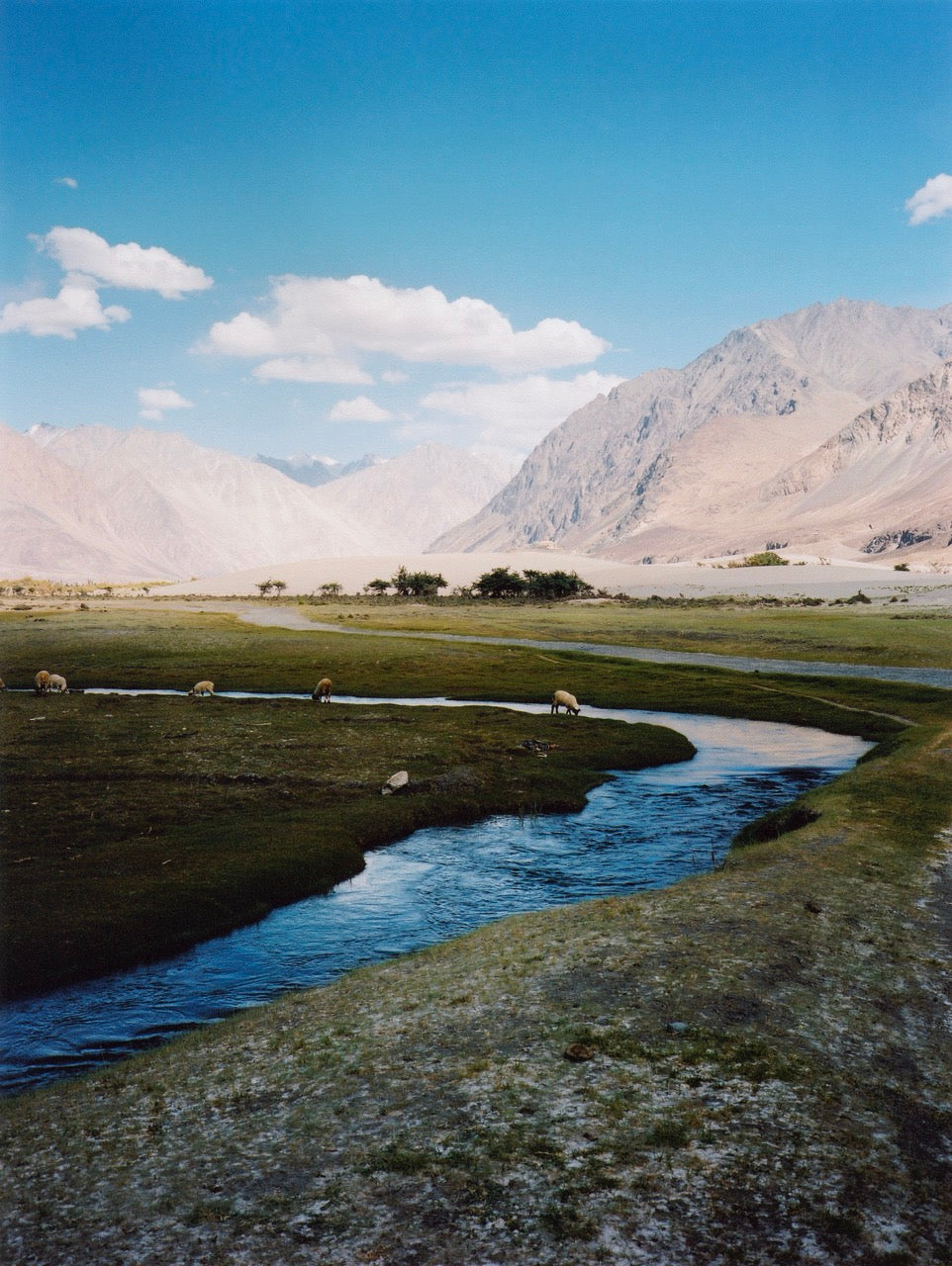 The valley, India, 2011