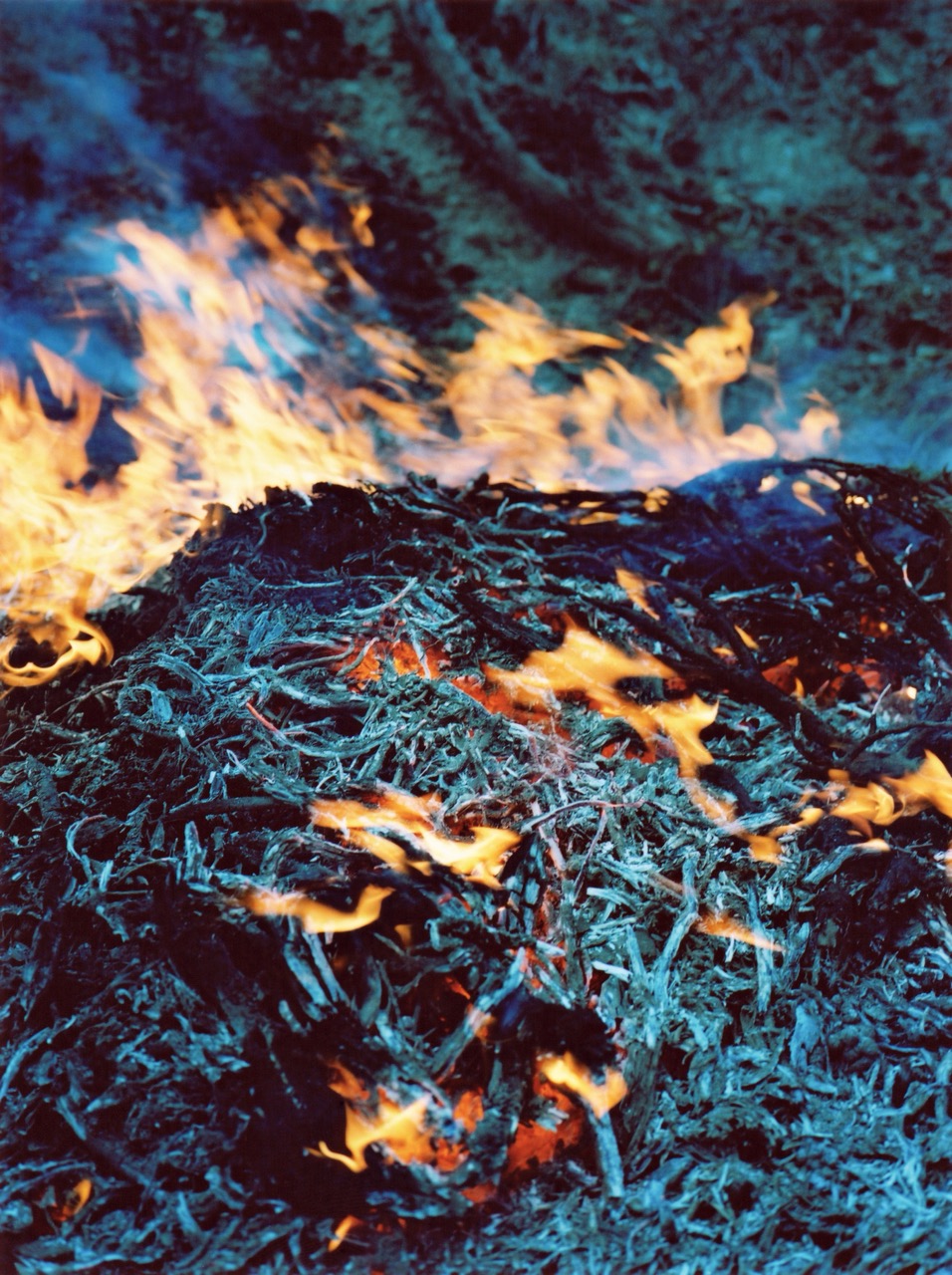 Fire, Népal, 2012