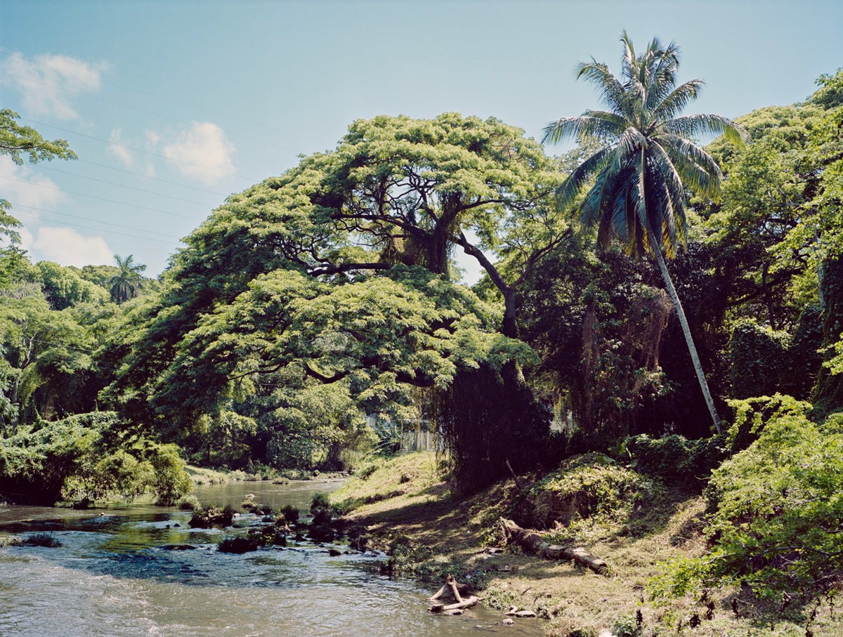 Rio Almendares, Cuba, 2017