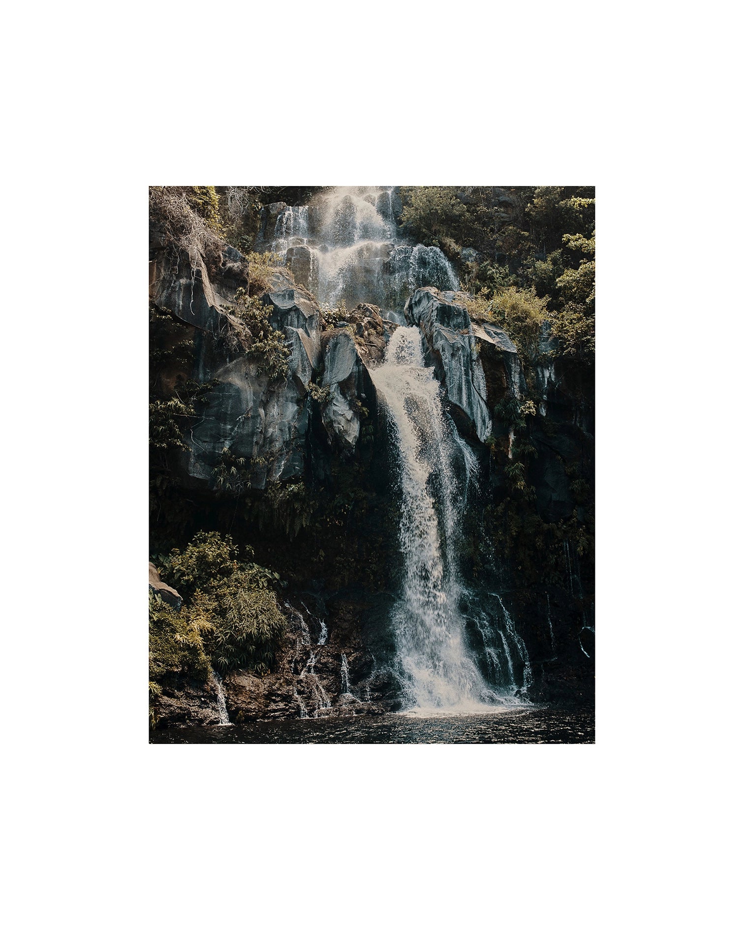 The bride's veil, Reunion Island, 2020 