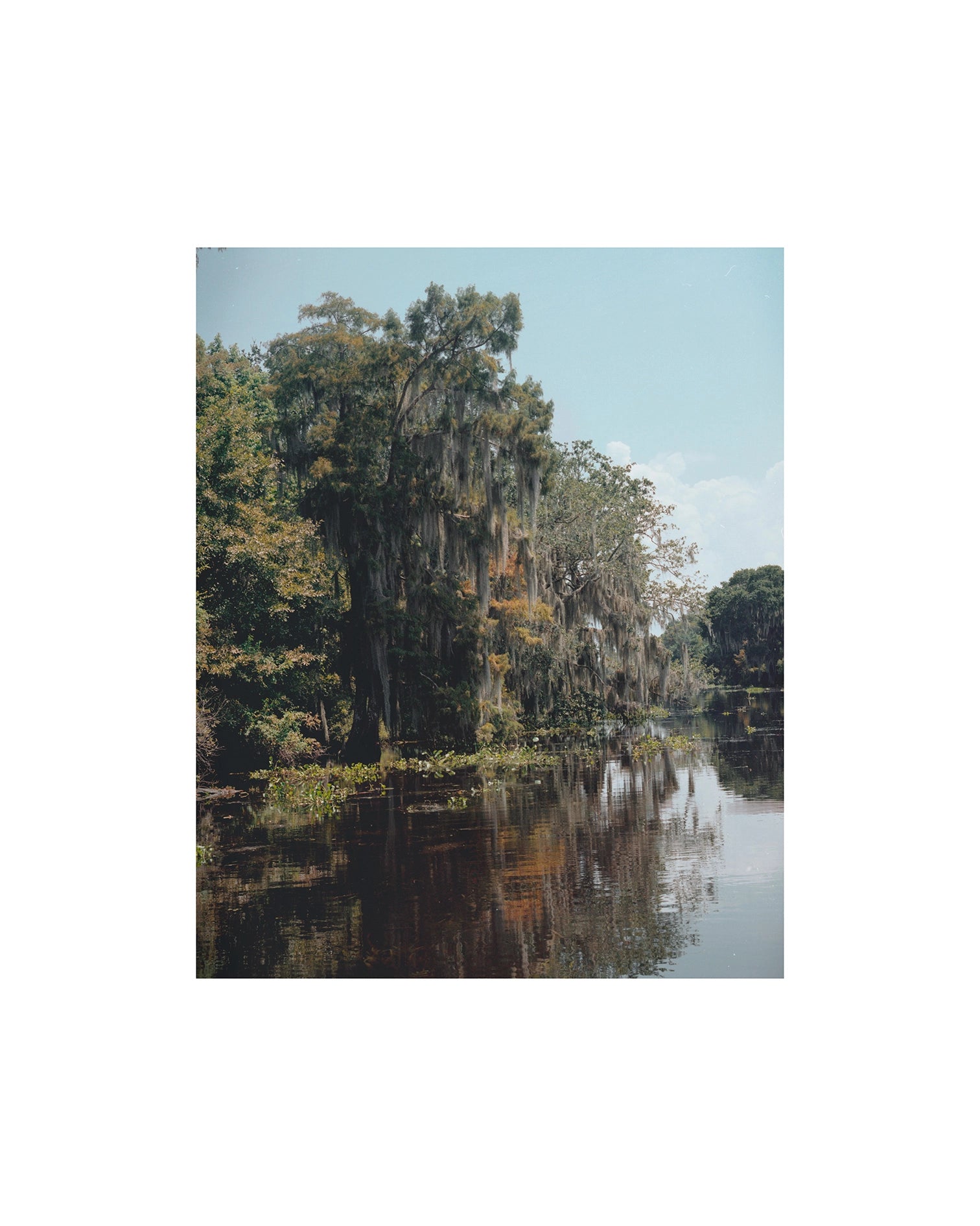 Bayou, My Love, Louisiane, 2019