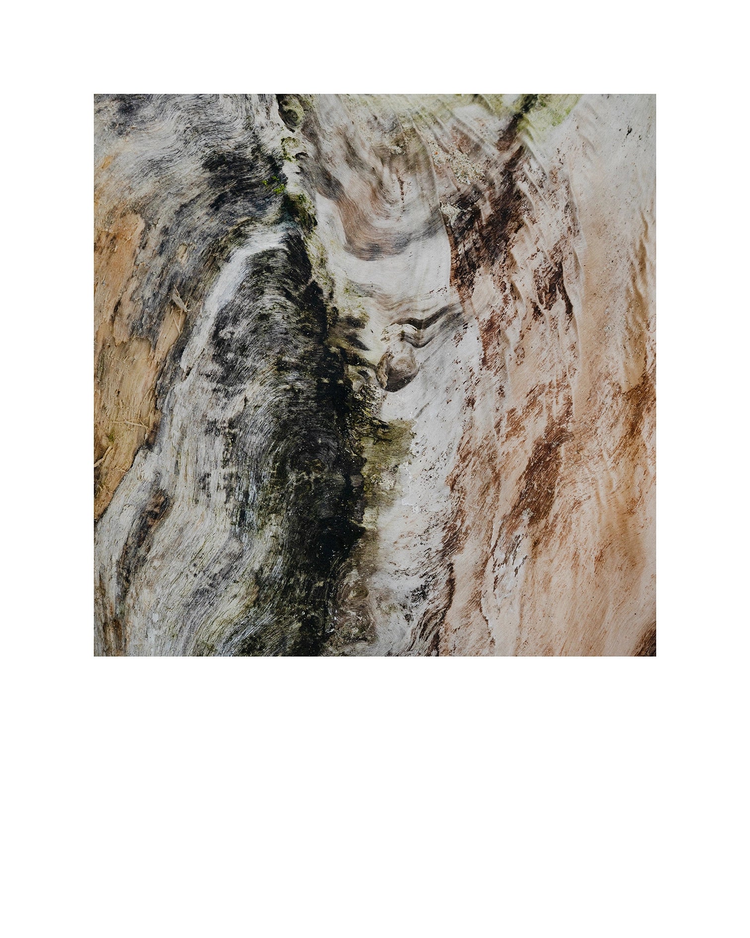 Bois salé, Normandie, 2024