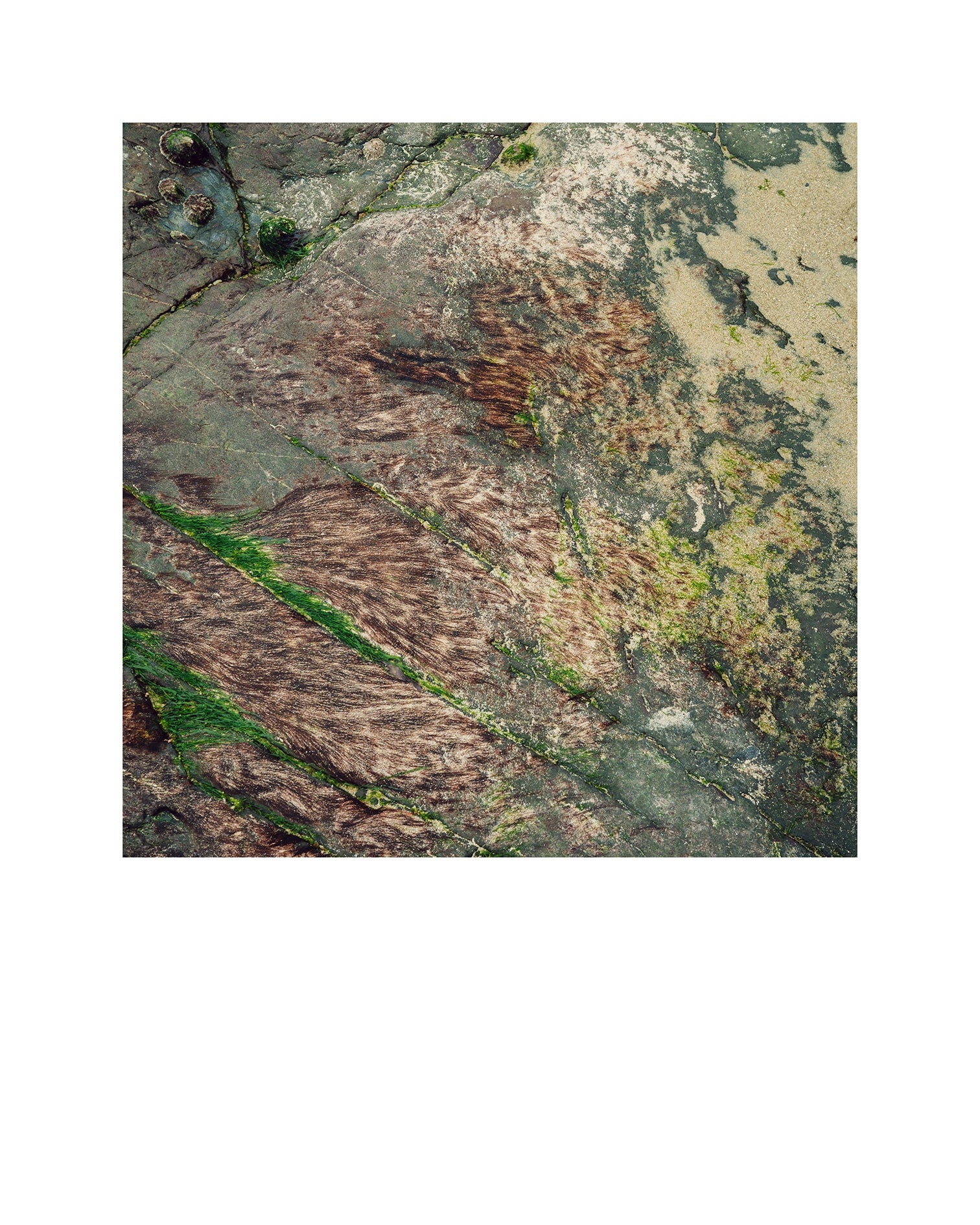 Quand l'eau se retire, Normandie, 2024