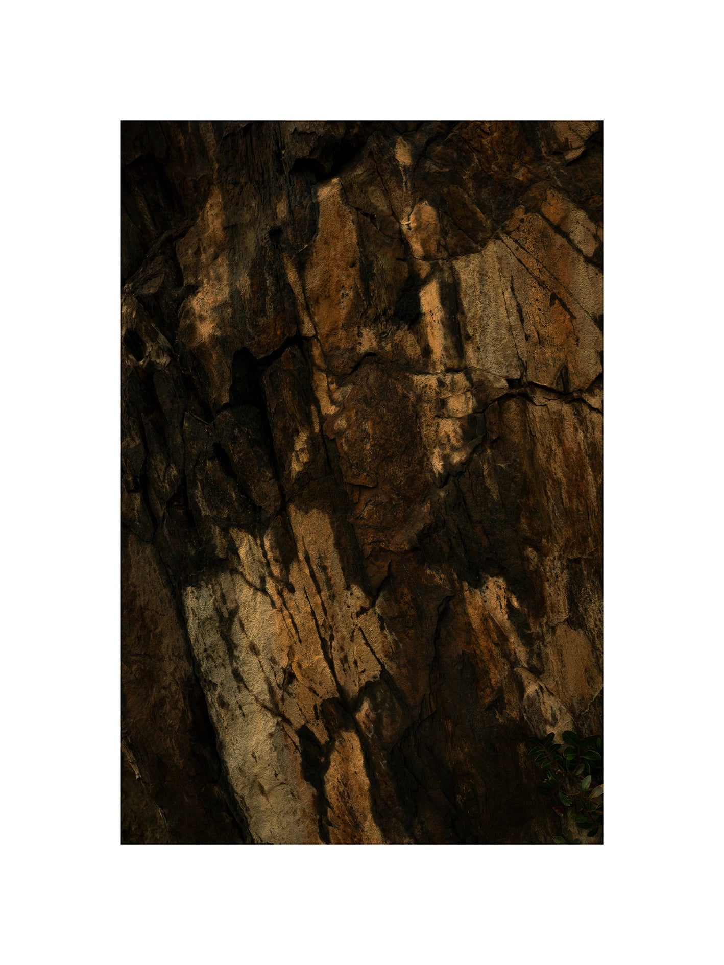 Quand le temps dessine, Cadaquès, 2025