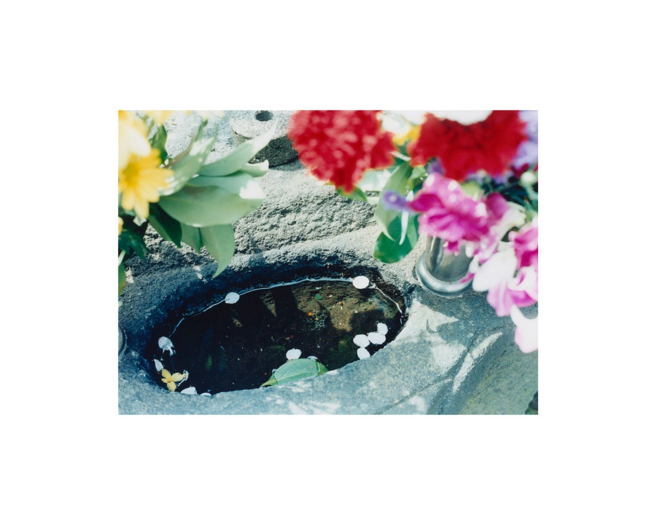 Tokyoflow, Tokyo, 2019