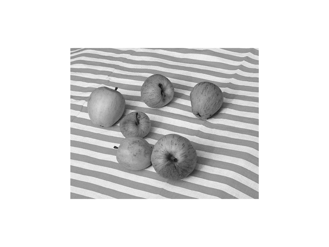 Red Apples On Yellow Stripes, Finistère, 2020