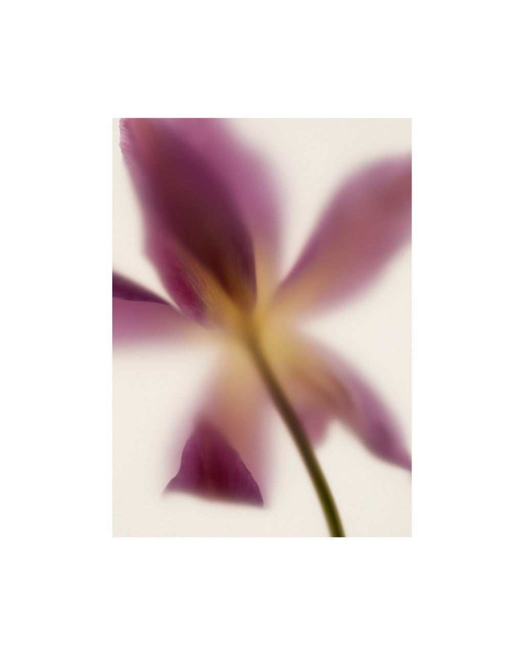 Bequest, Greece, 2018
